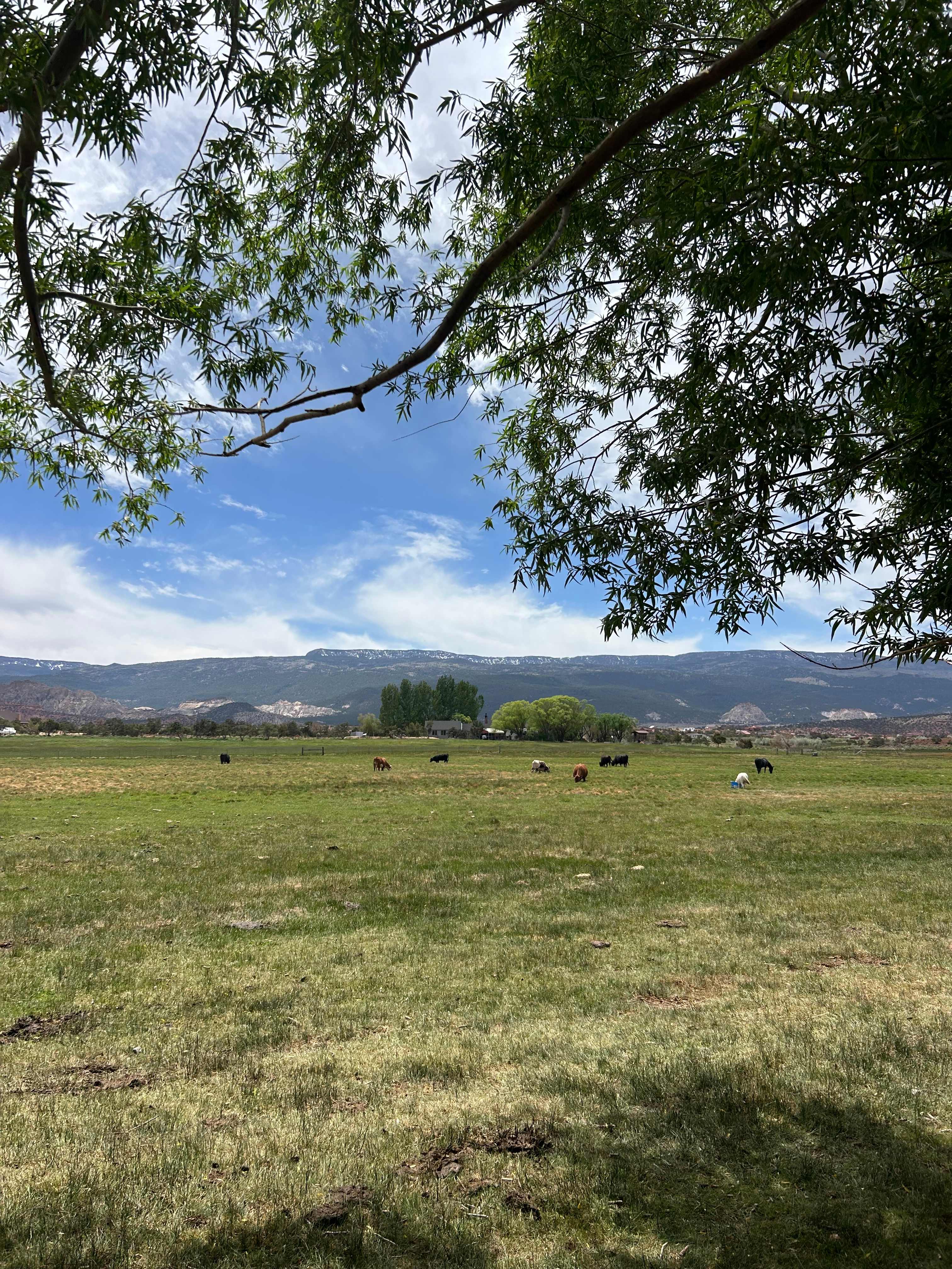 Wonderland RV Park