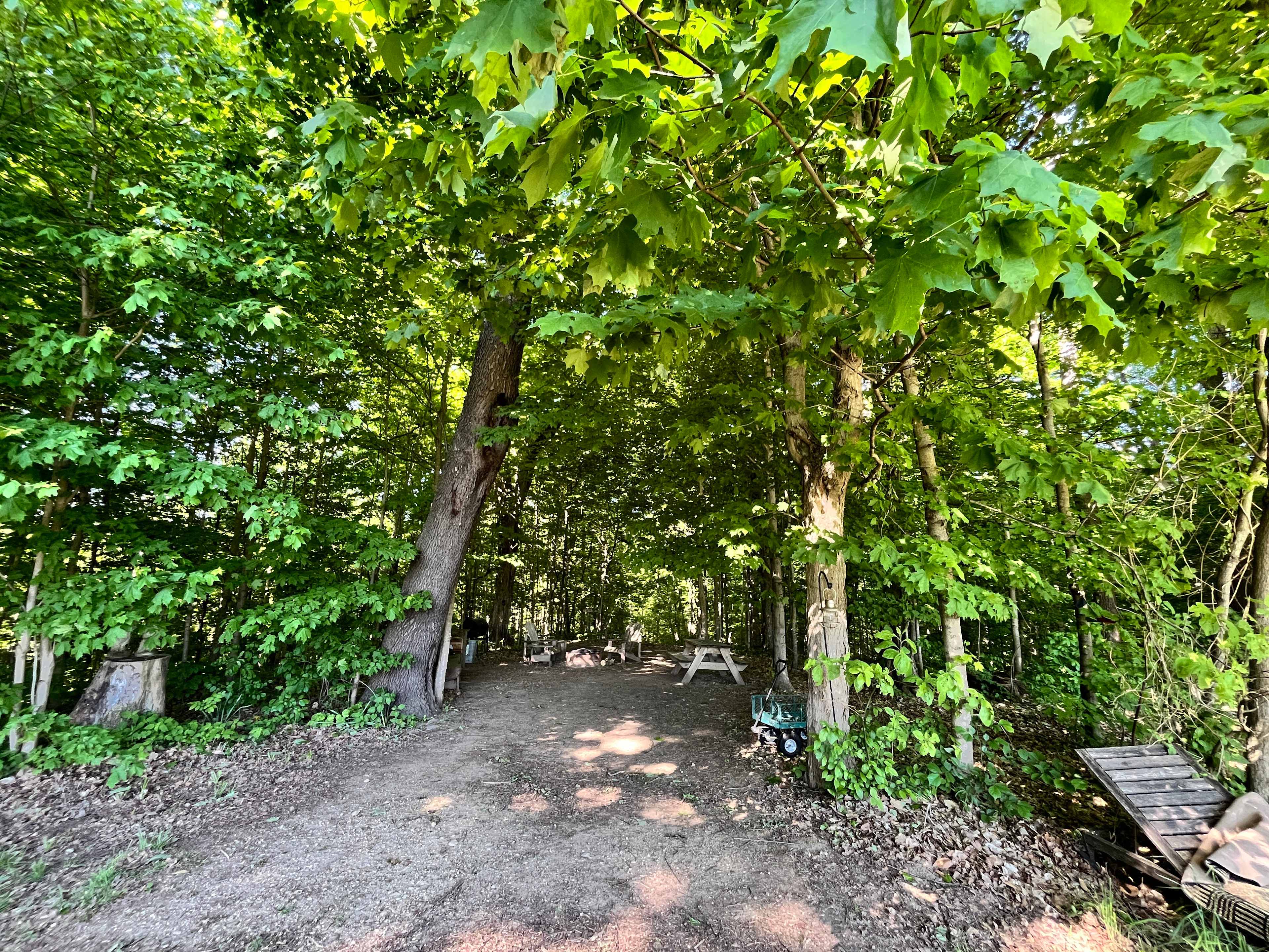 The Vineyard site 