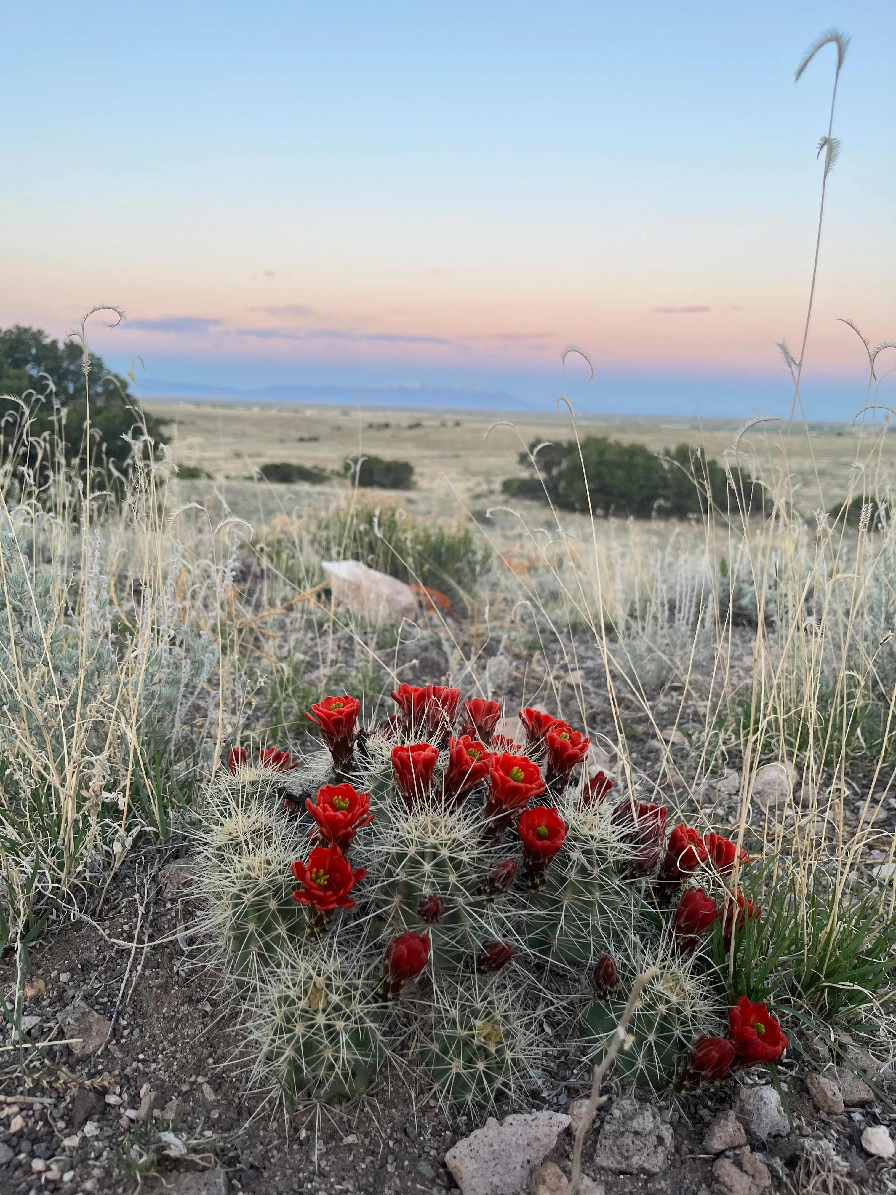 Tin Can Camp: Adventure Base