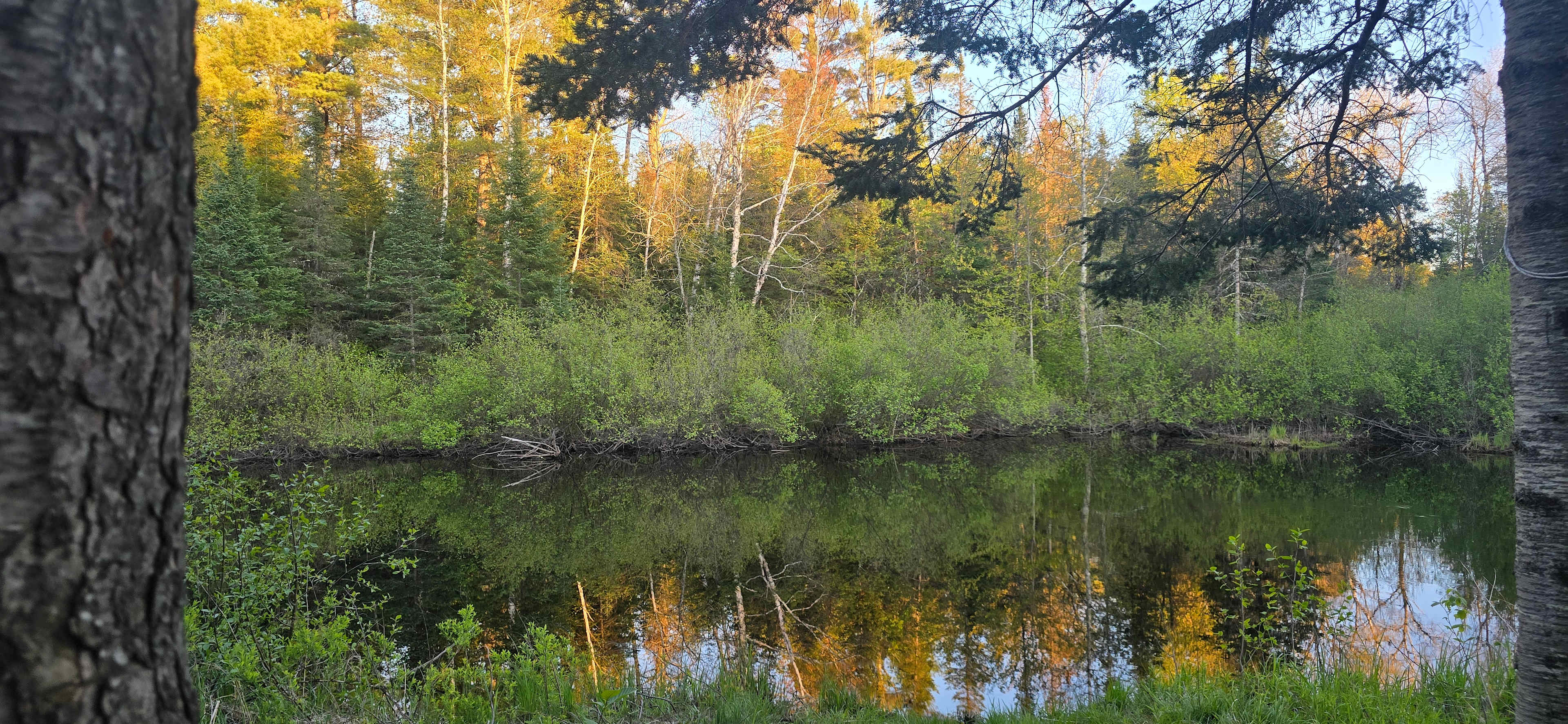 Bad River Wilderness