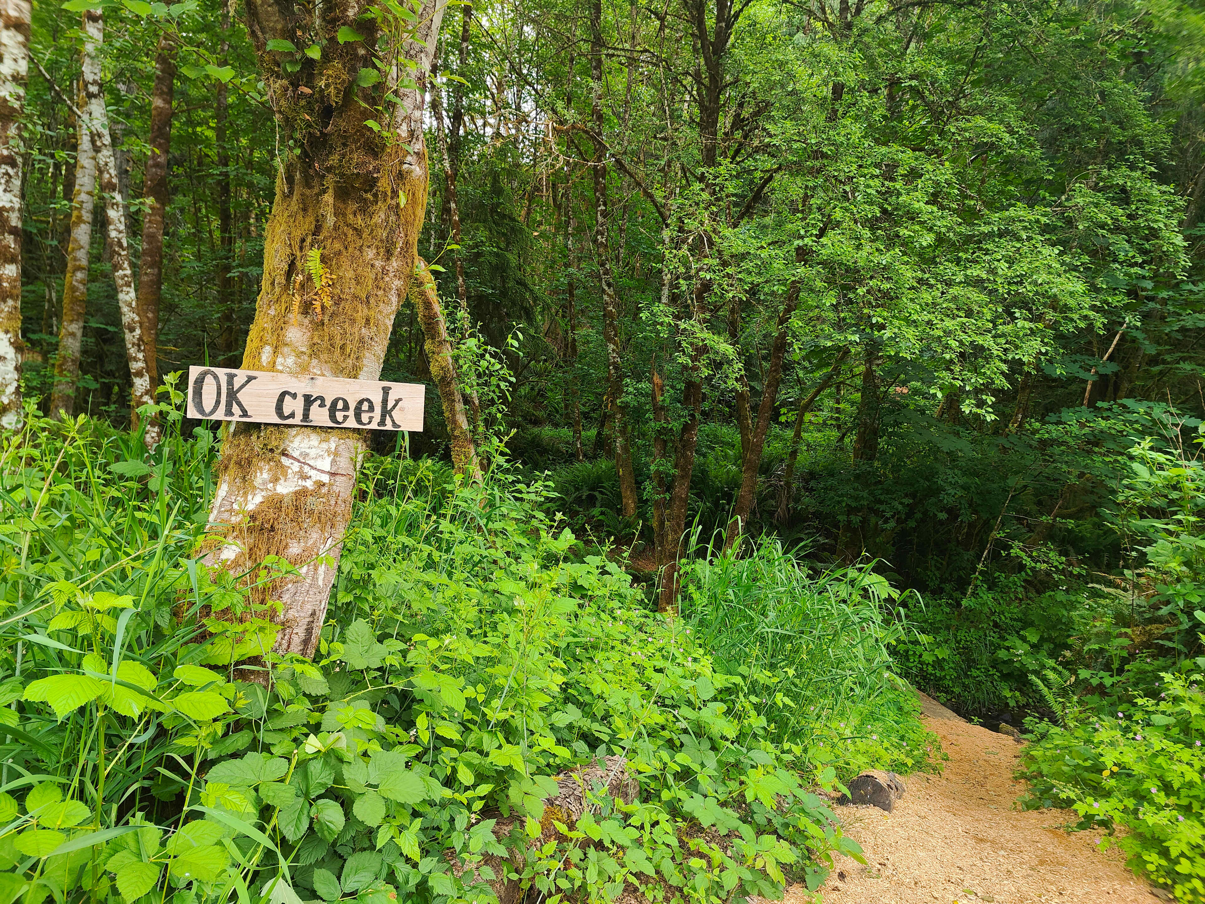 Favorite Creek Campground