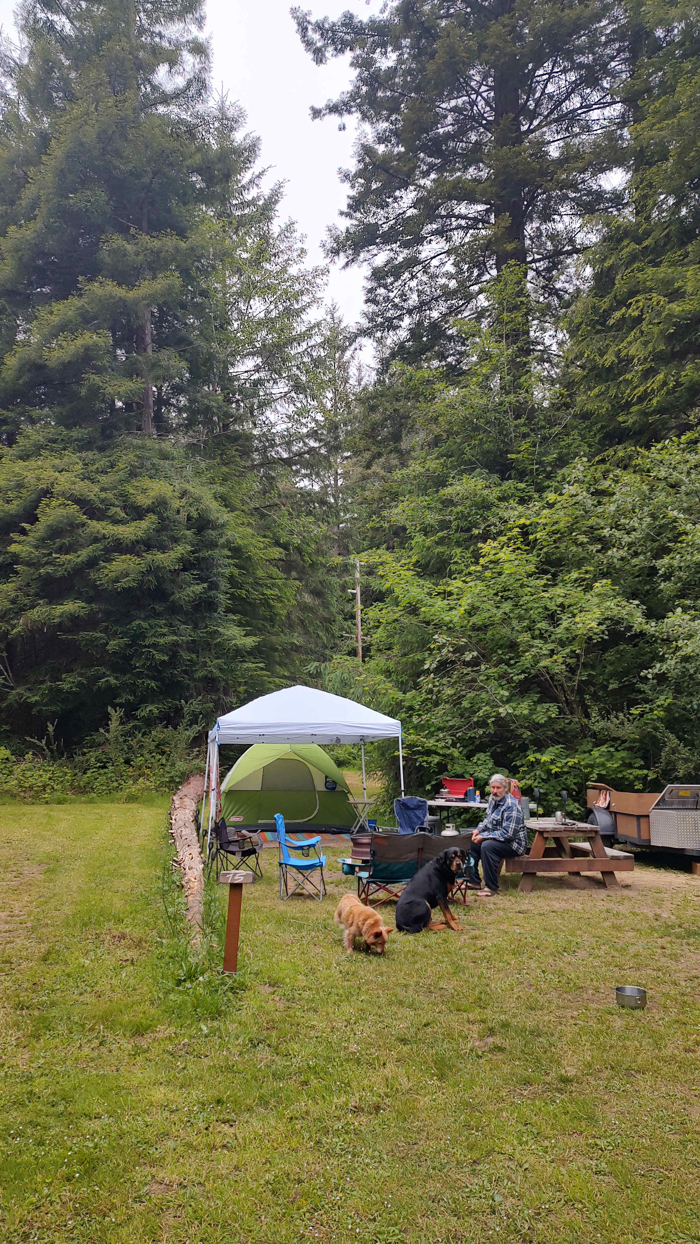 Mystic Forest Campground