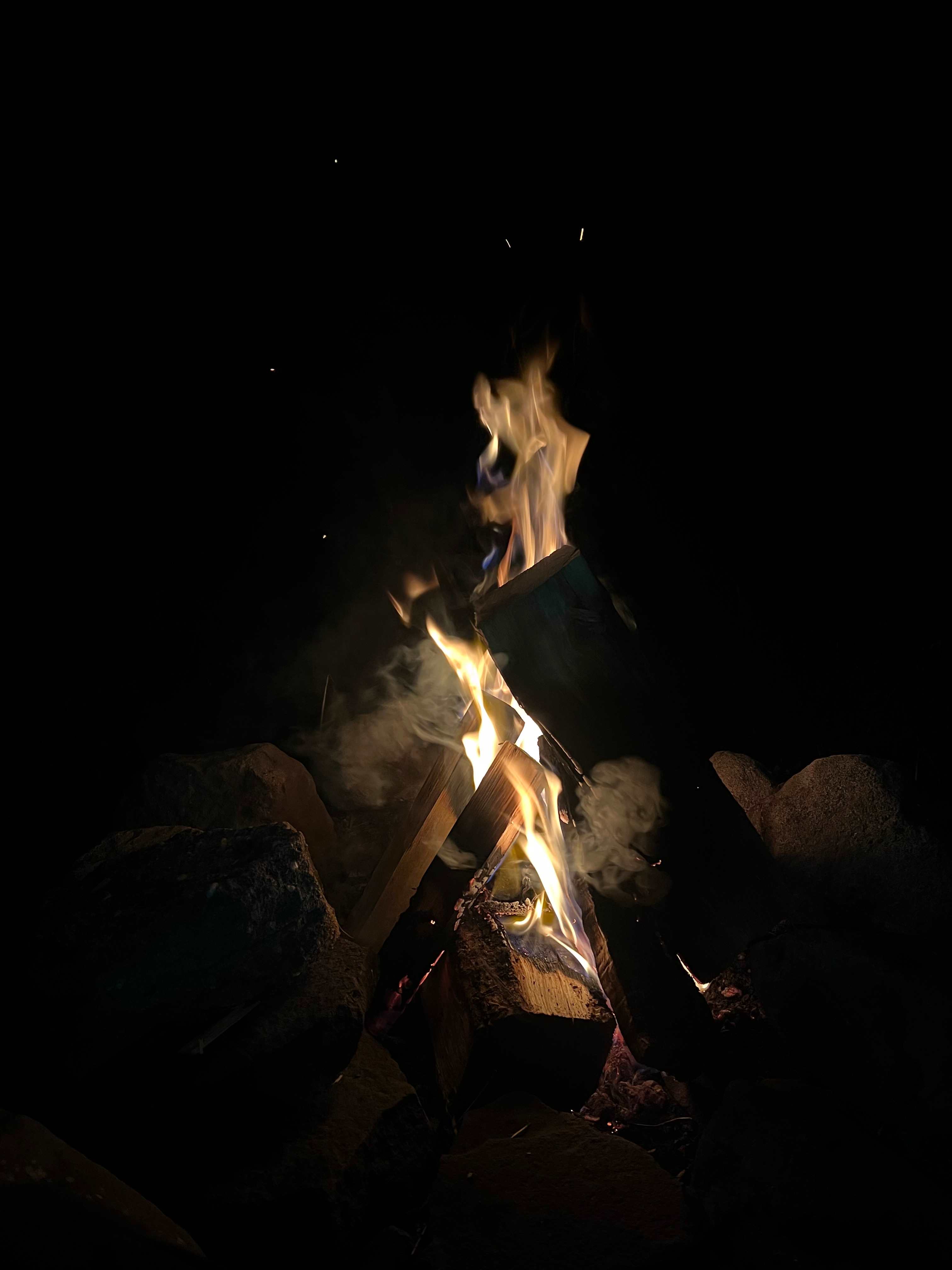 Burr Oaks Forest secluded campsites