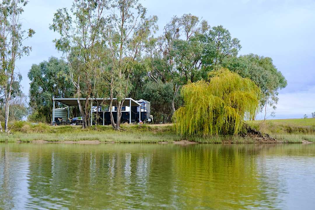 Curlew Camp - Birds & Fishing