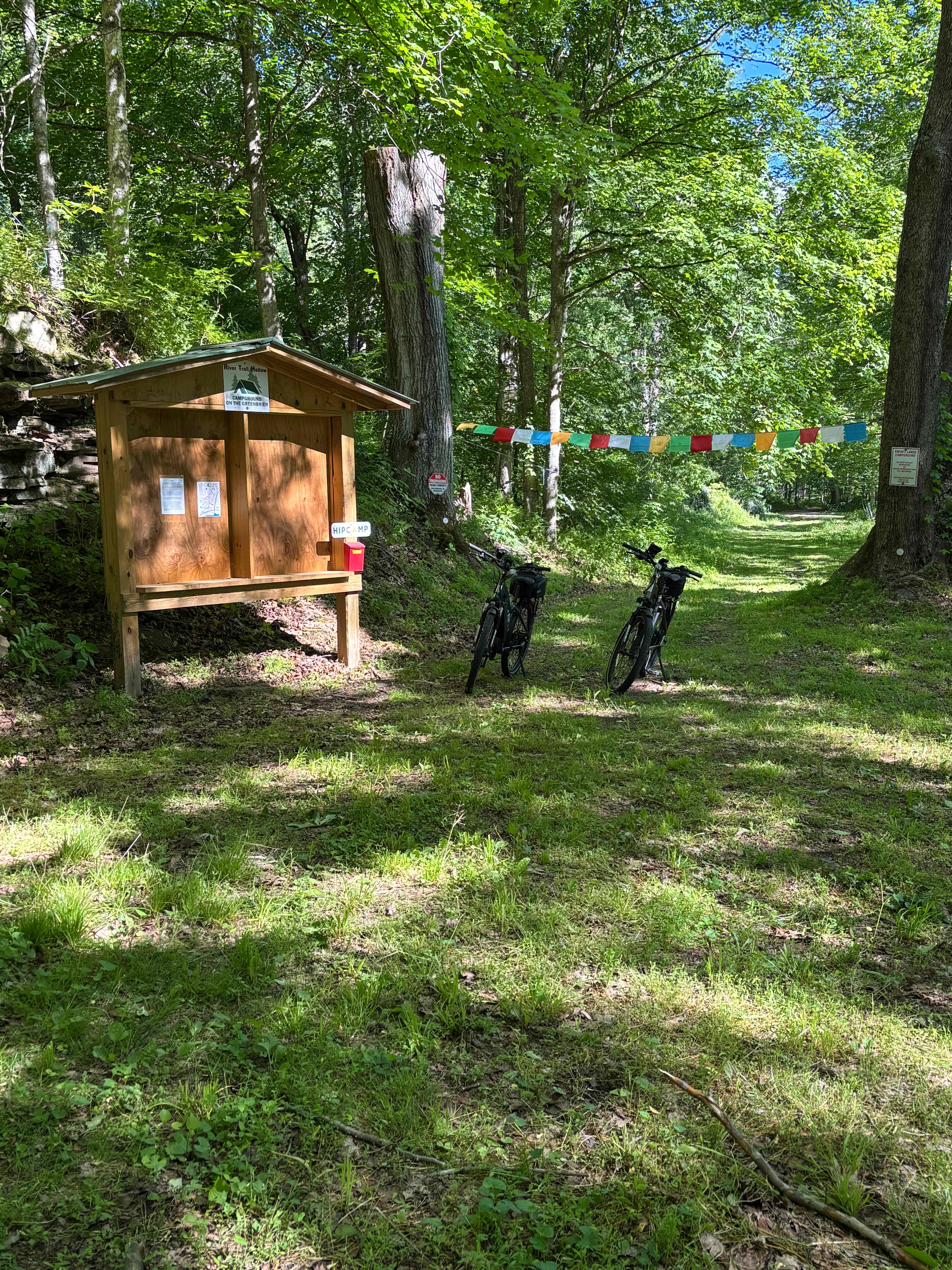 Picture of the site