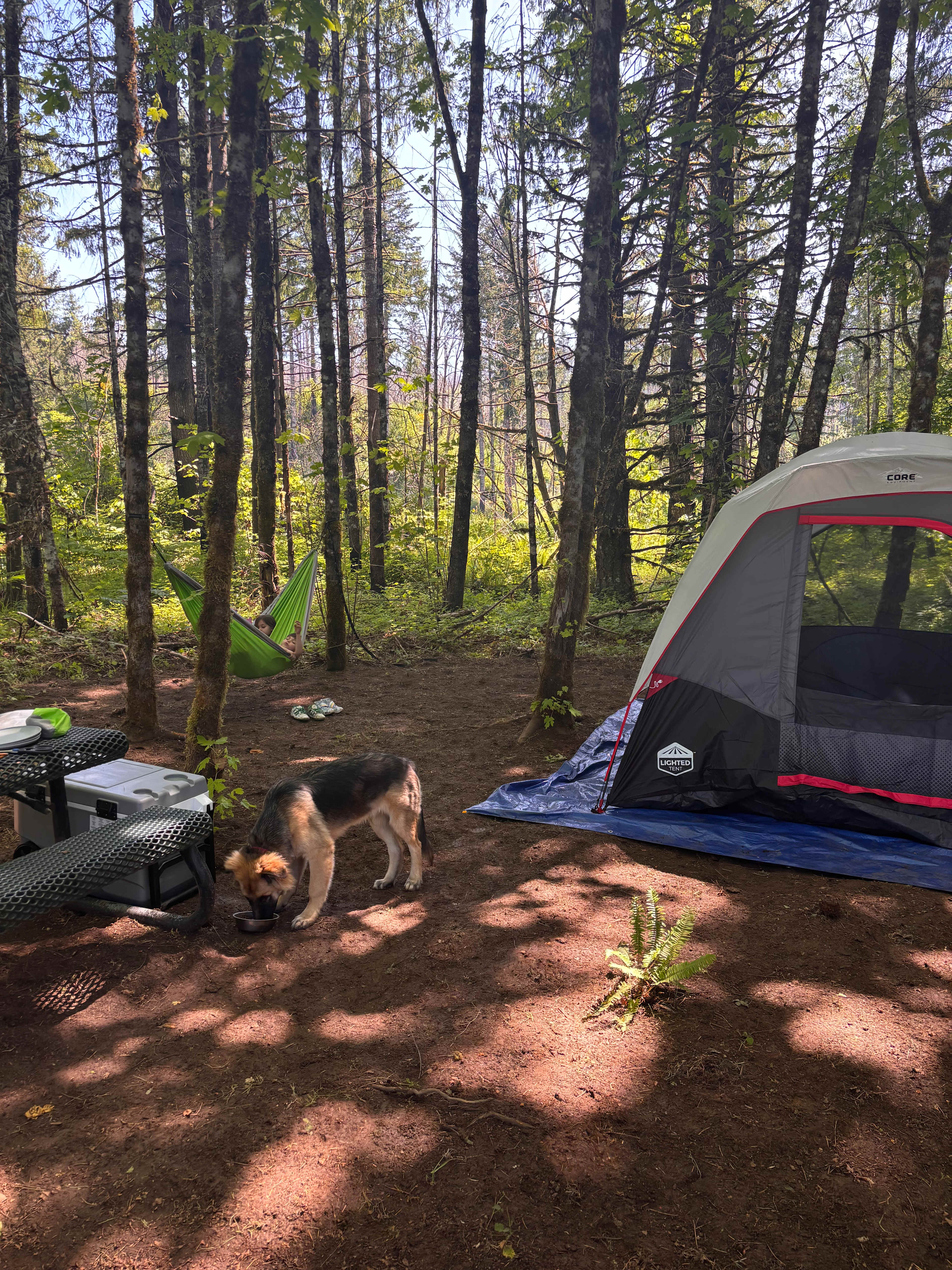 Clean, private campsite