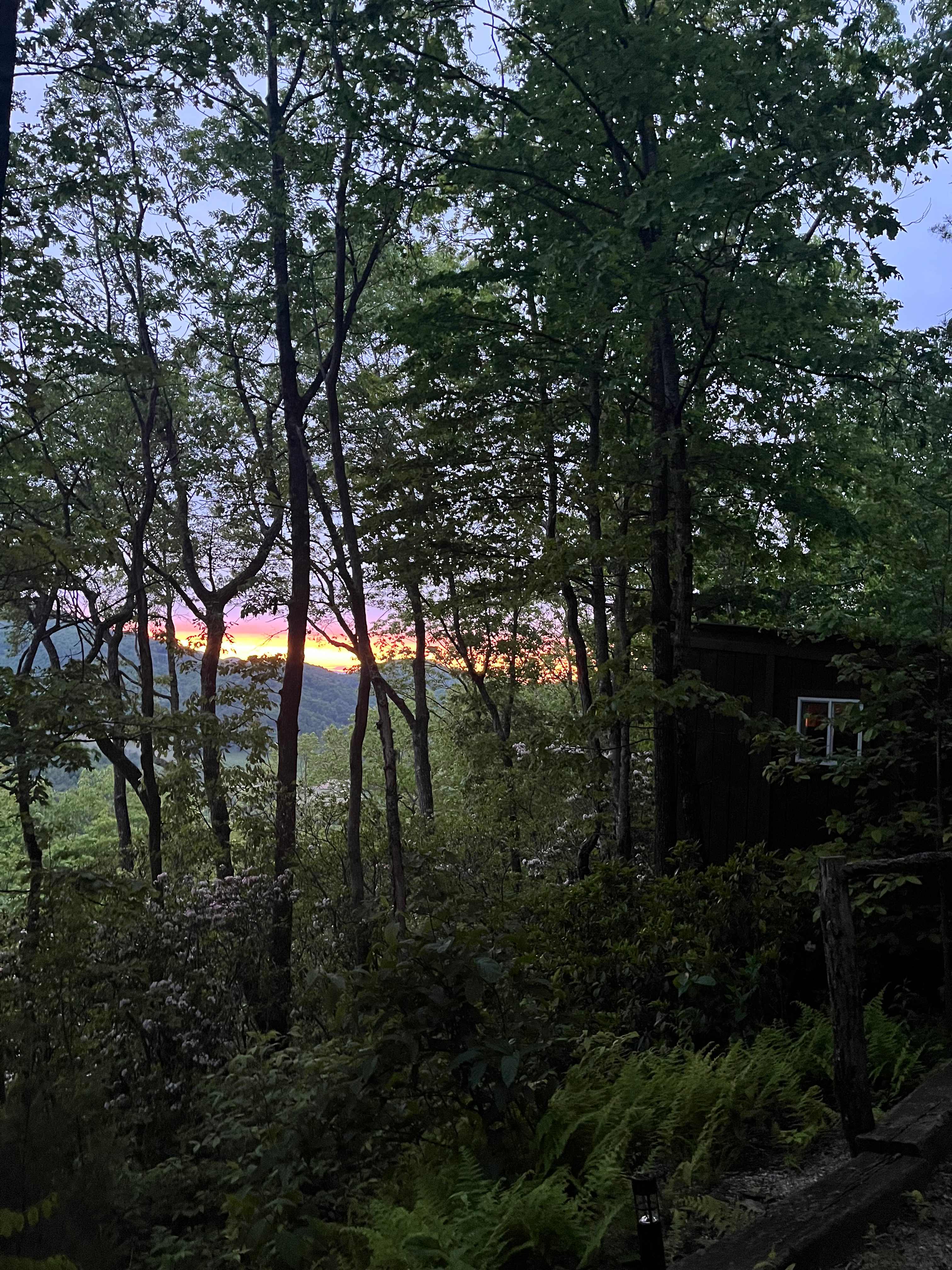 Mountaintop Fantasy