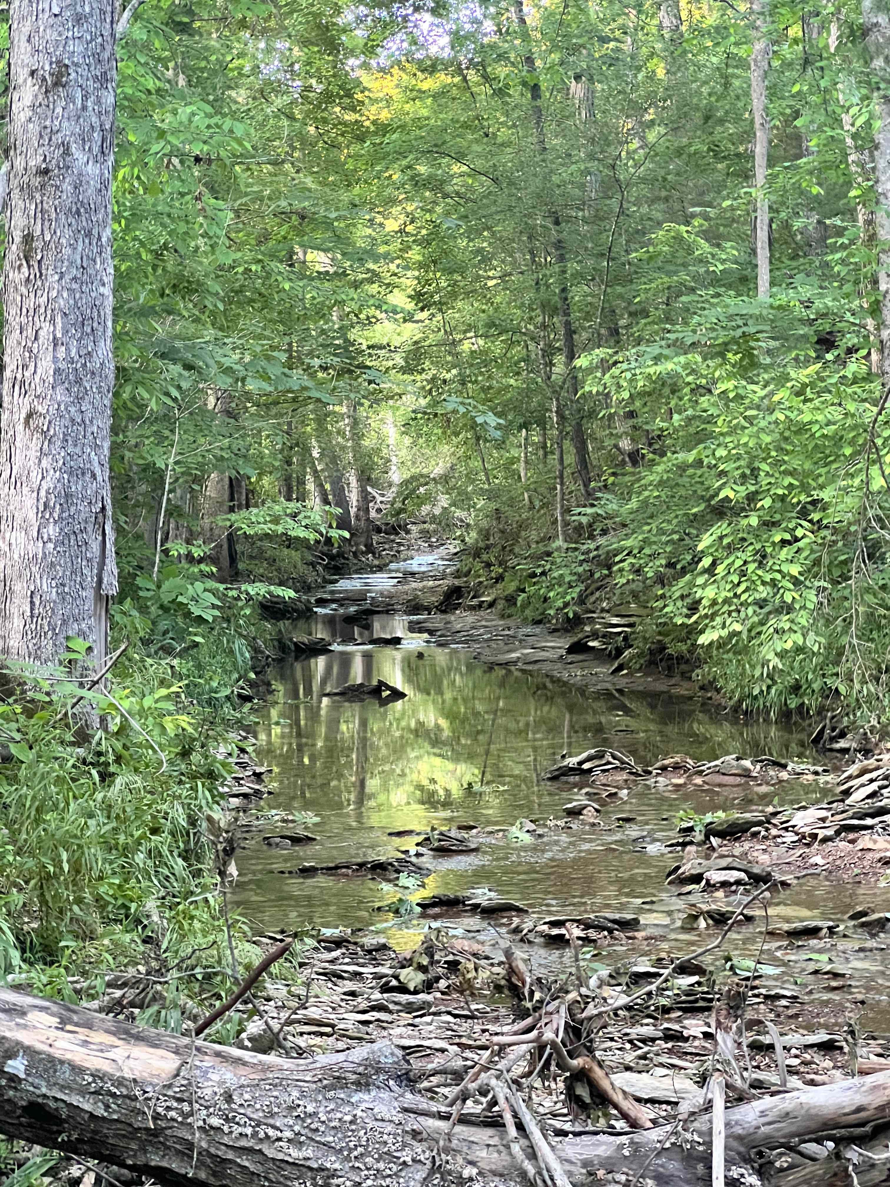 Wilson Creek Farm