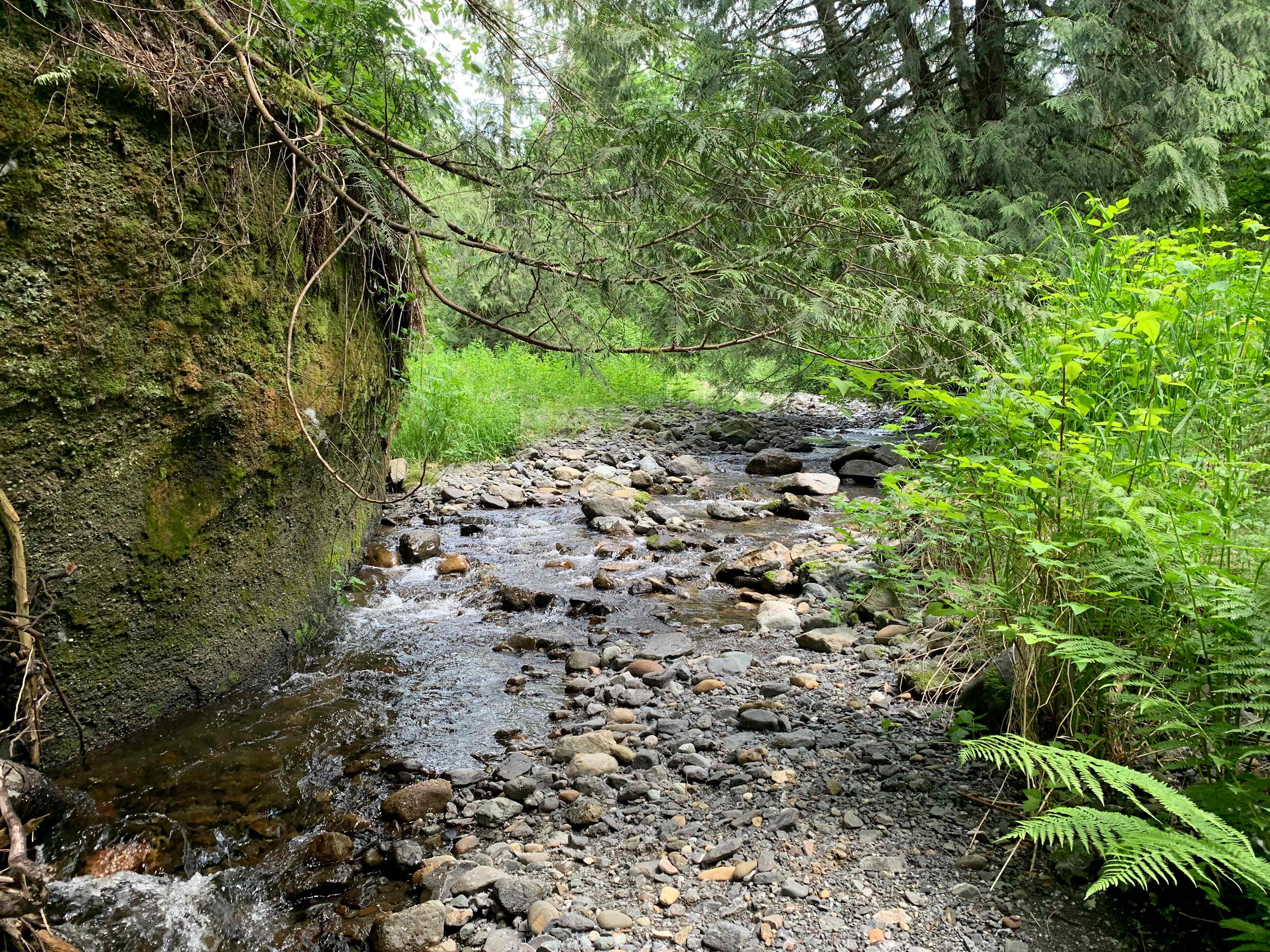 North Wind House: Historic Cascadia