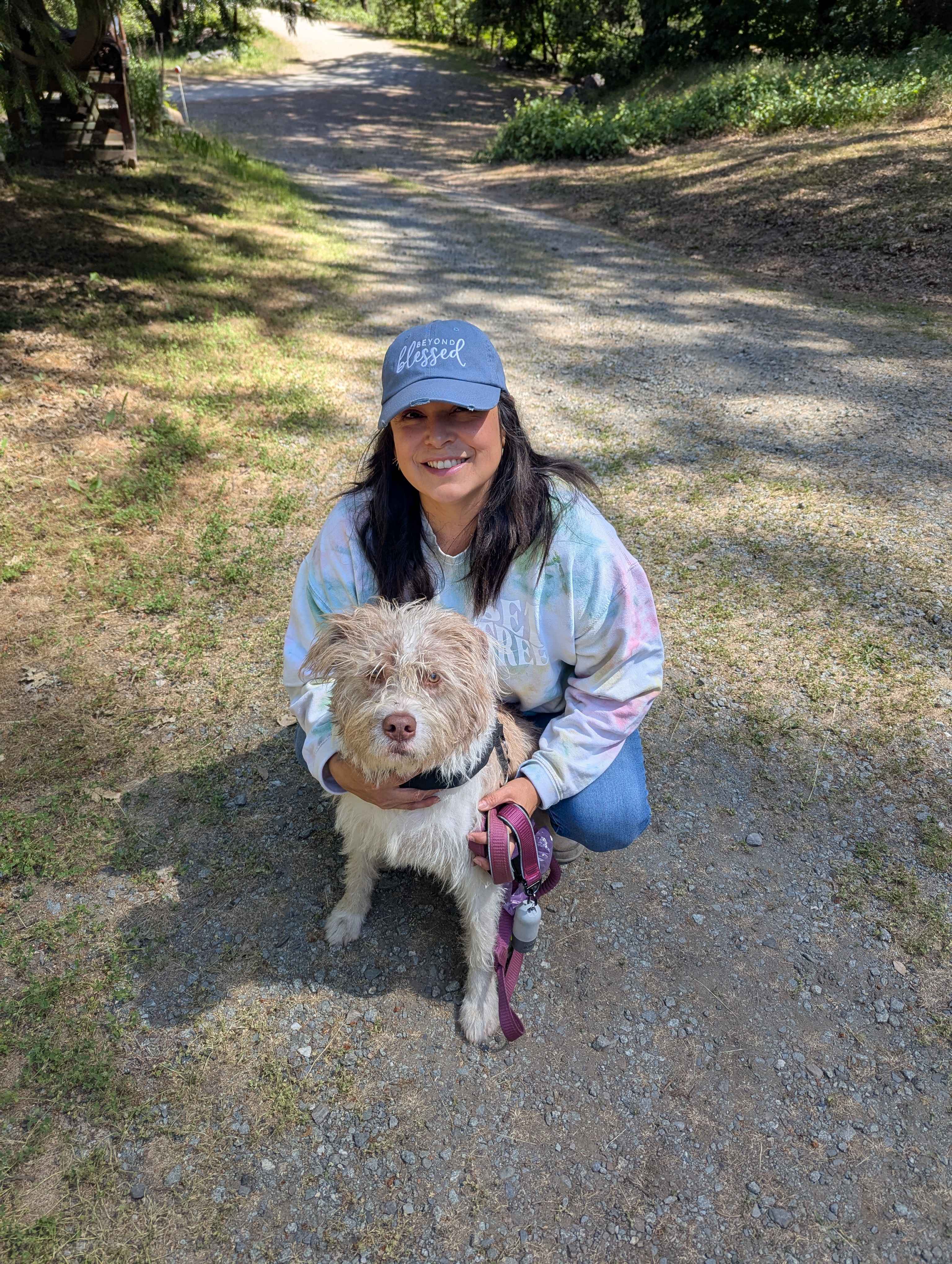 Dog friendly 