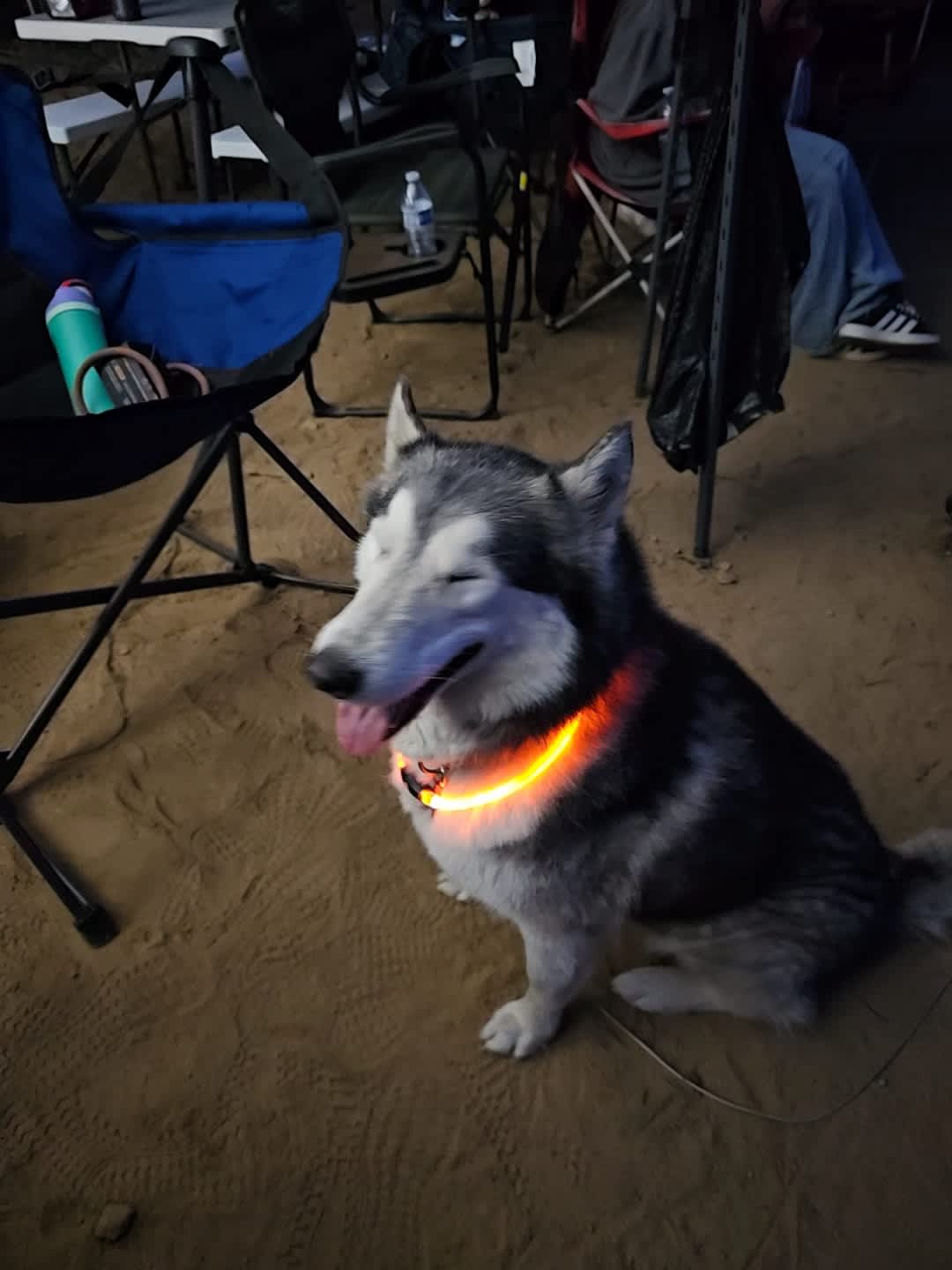 SoCal Campground
