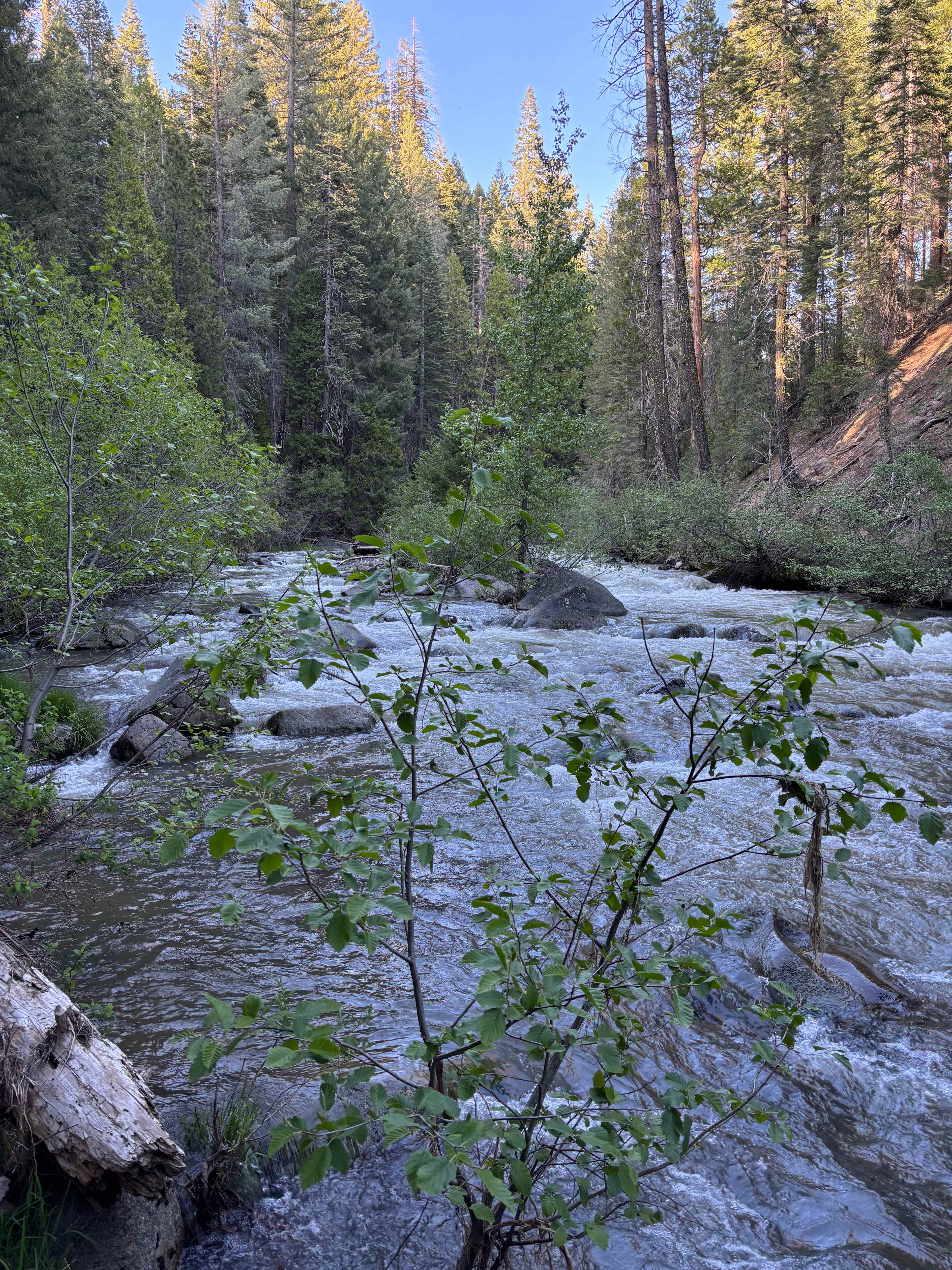 Mill Creek, a short stroll from our site. 