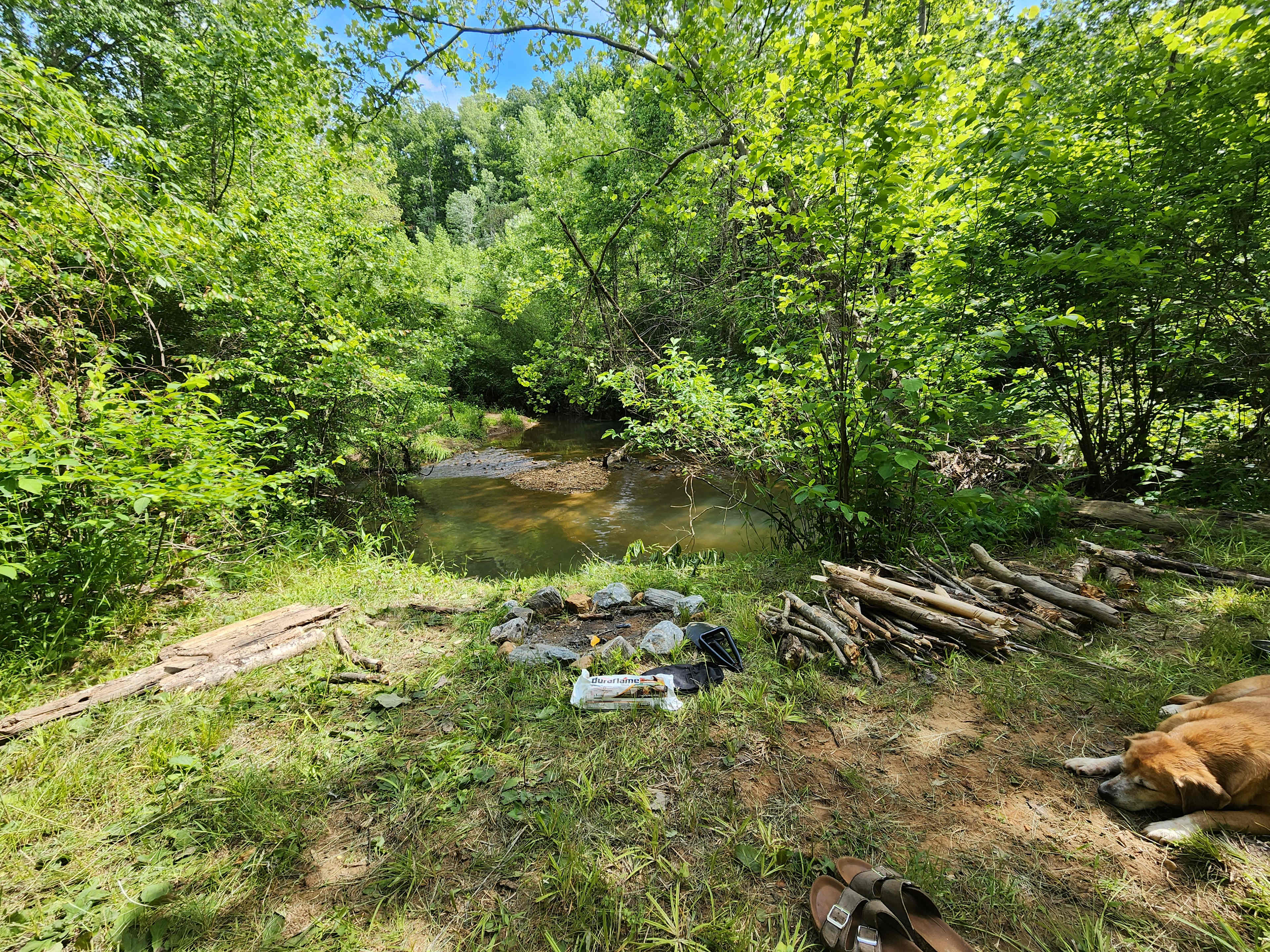 Picture of the site