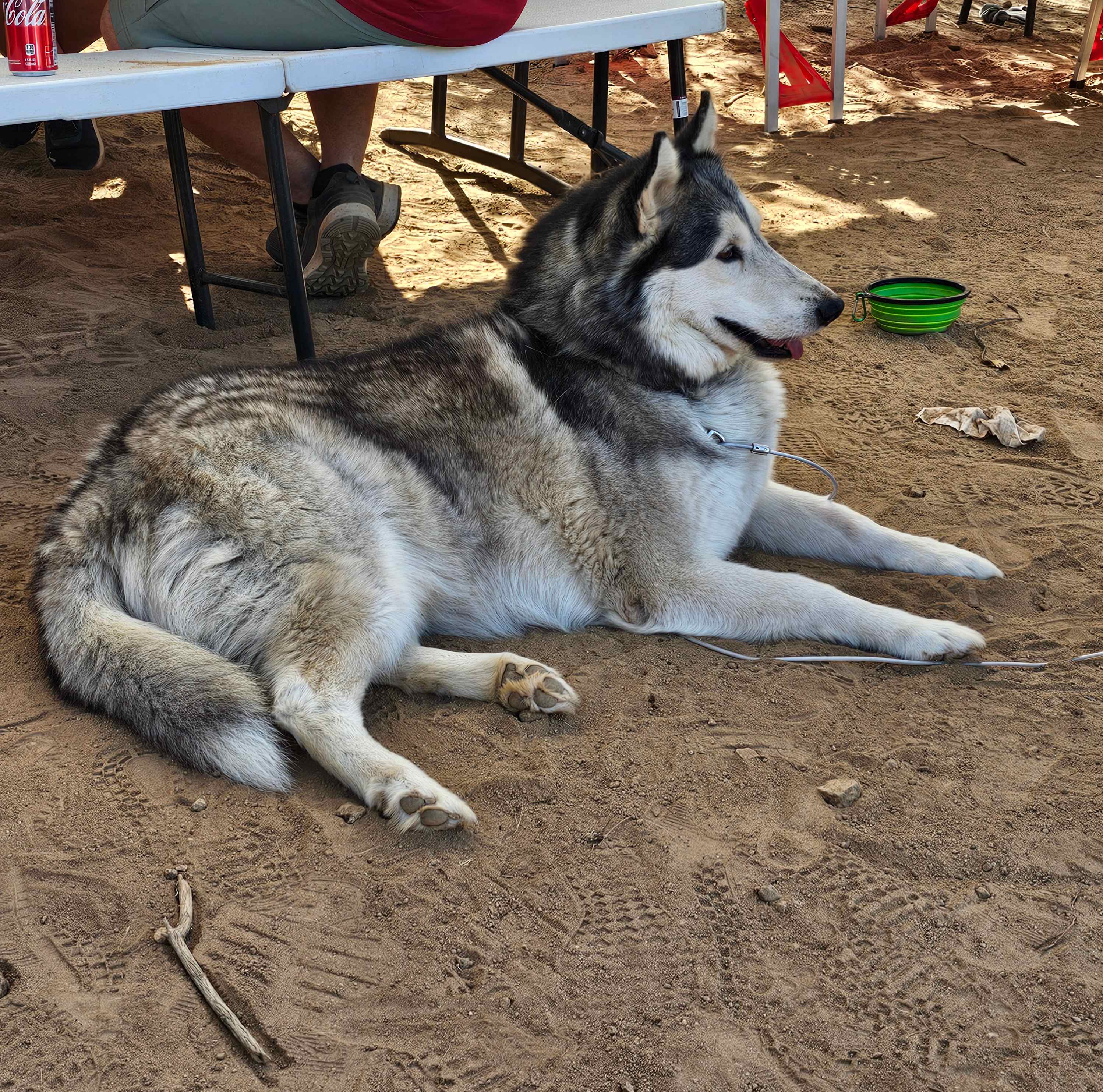 SoCal Campground
