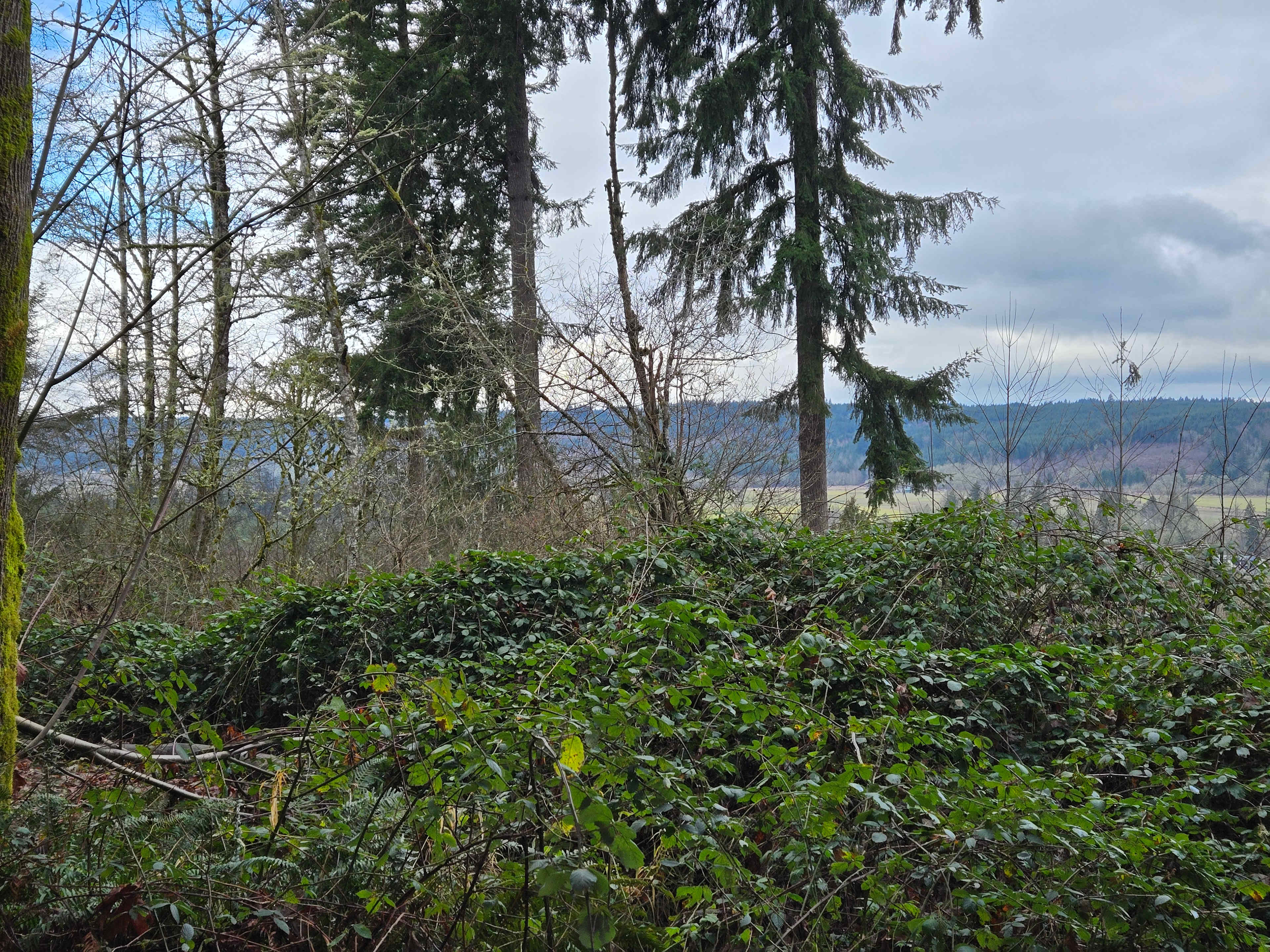 Chehalis RV & Camping Resort