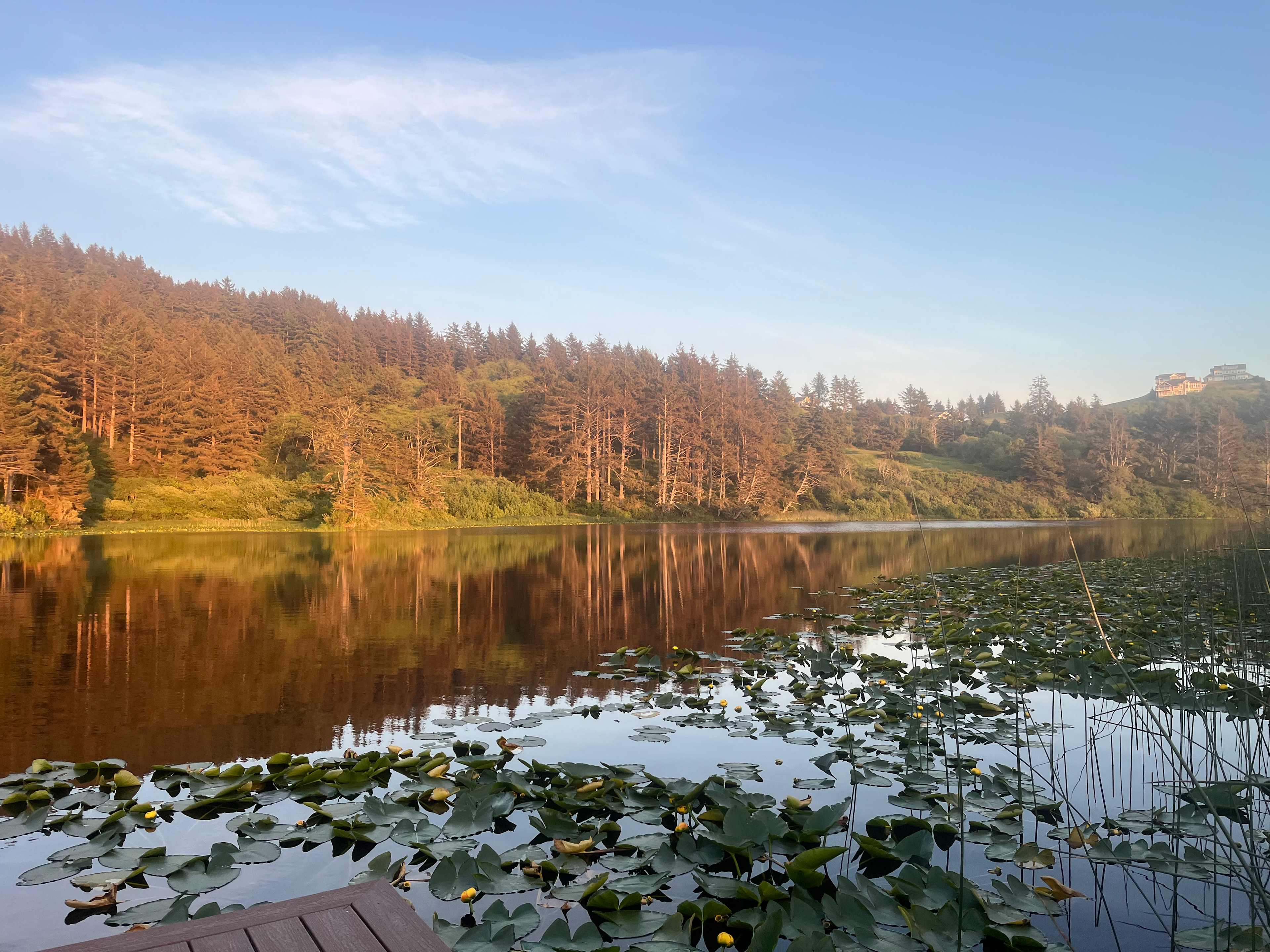 The Lake Pasture