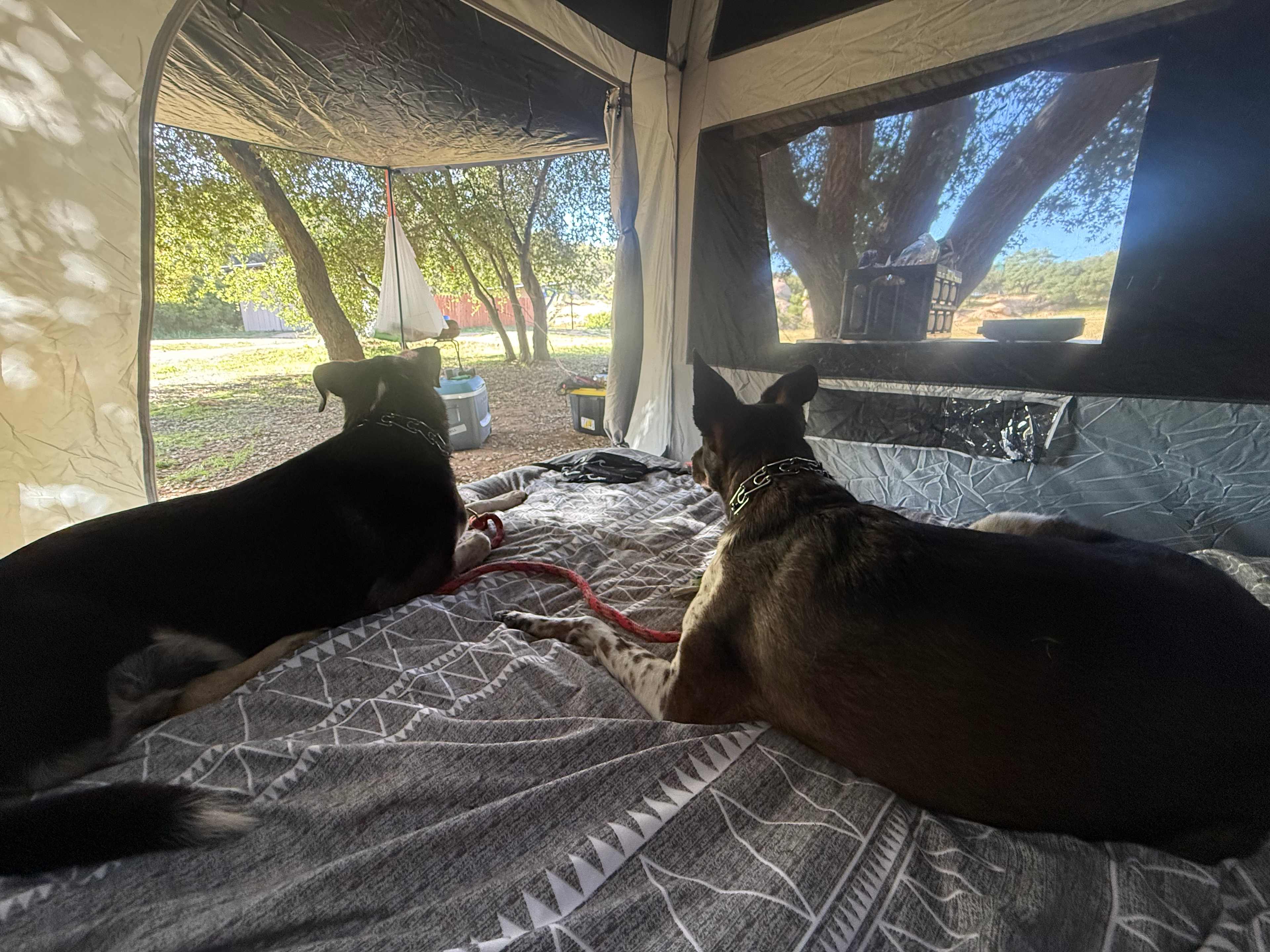 GoodVibes Ranch Disc Golf & Camping