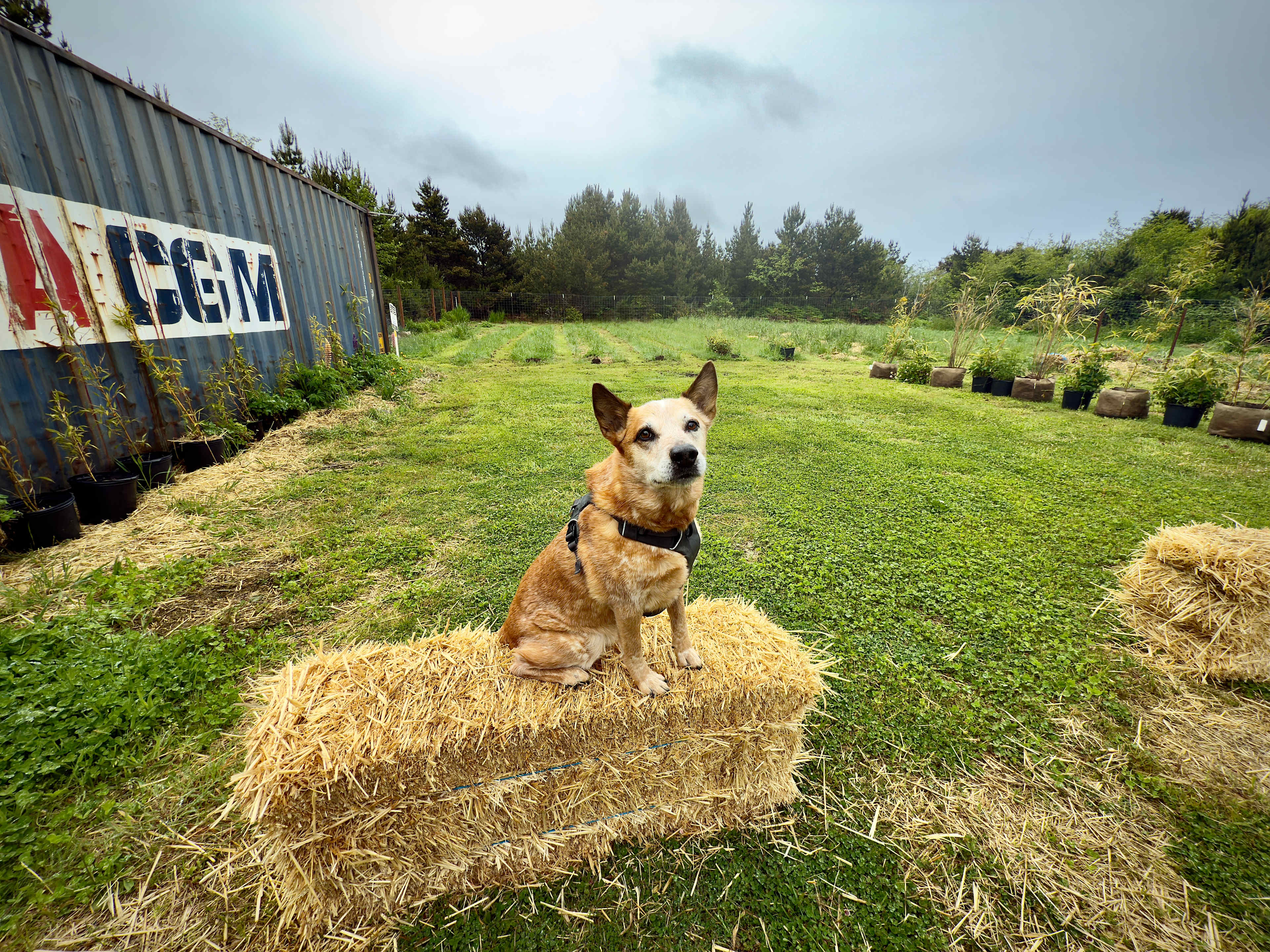 Coastal Farm Sanctuary