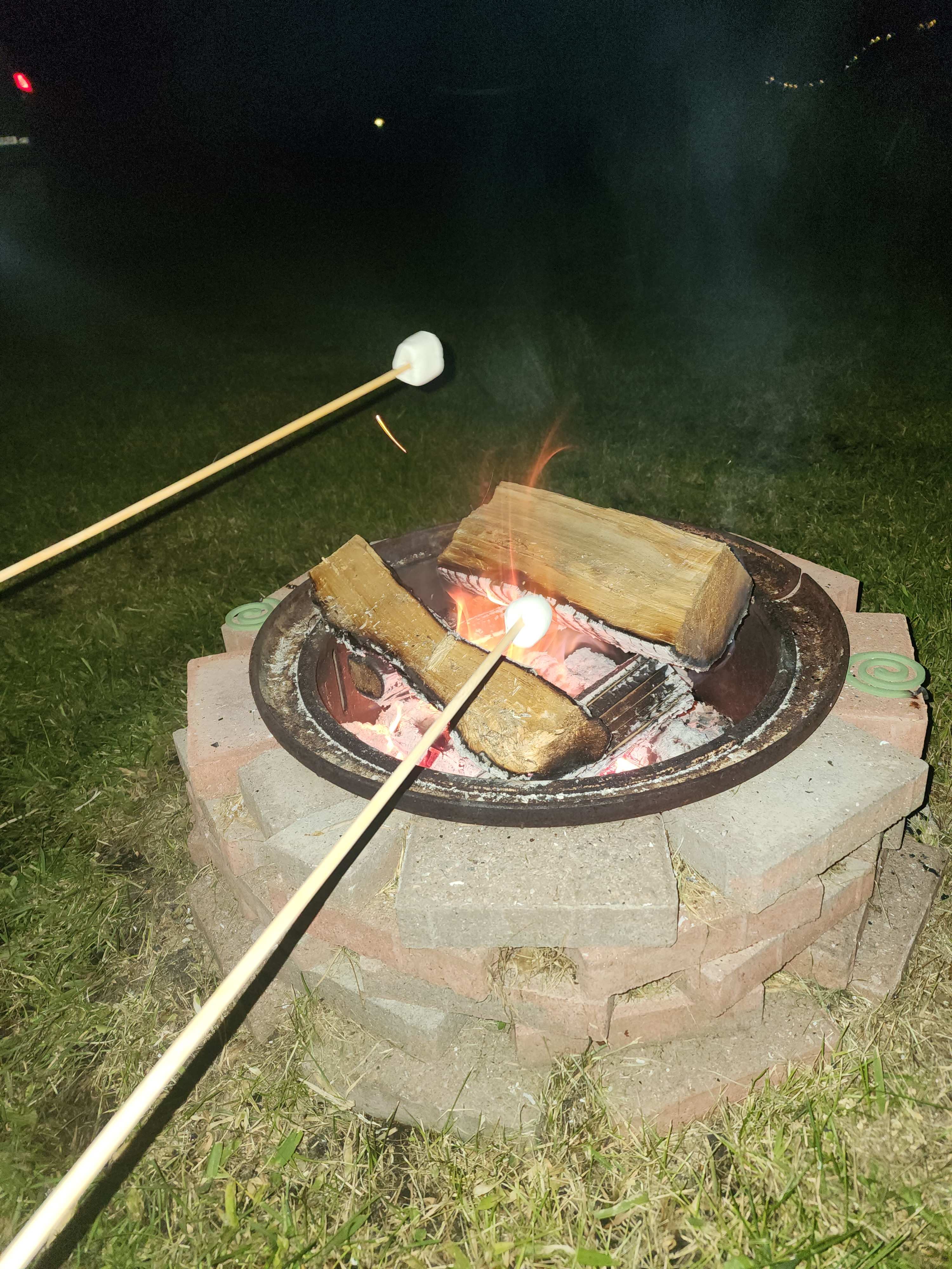 Cute little campfire pit