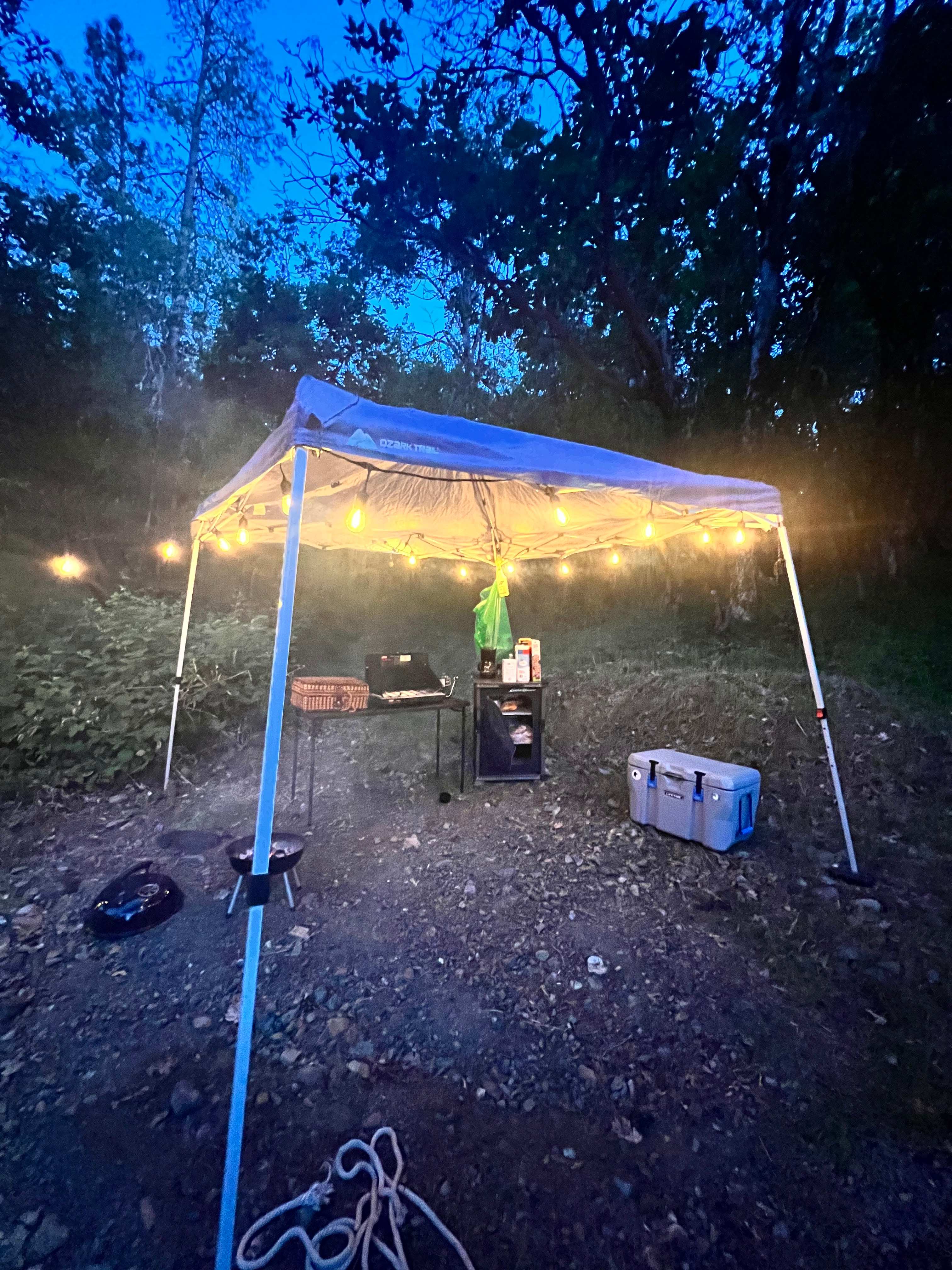 Homestead campsite in the trees