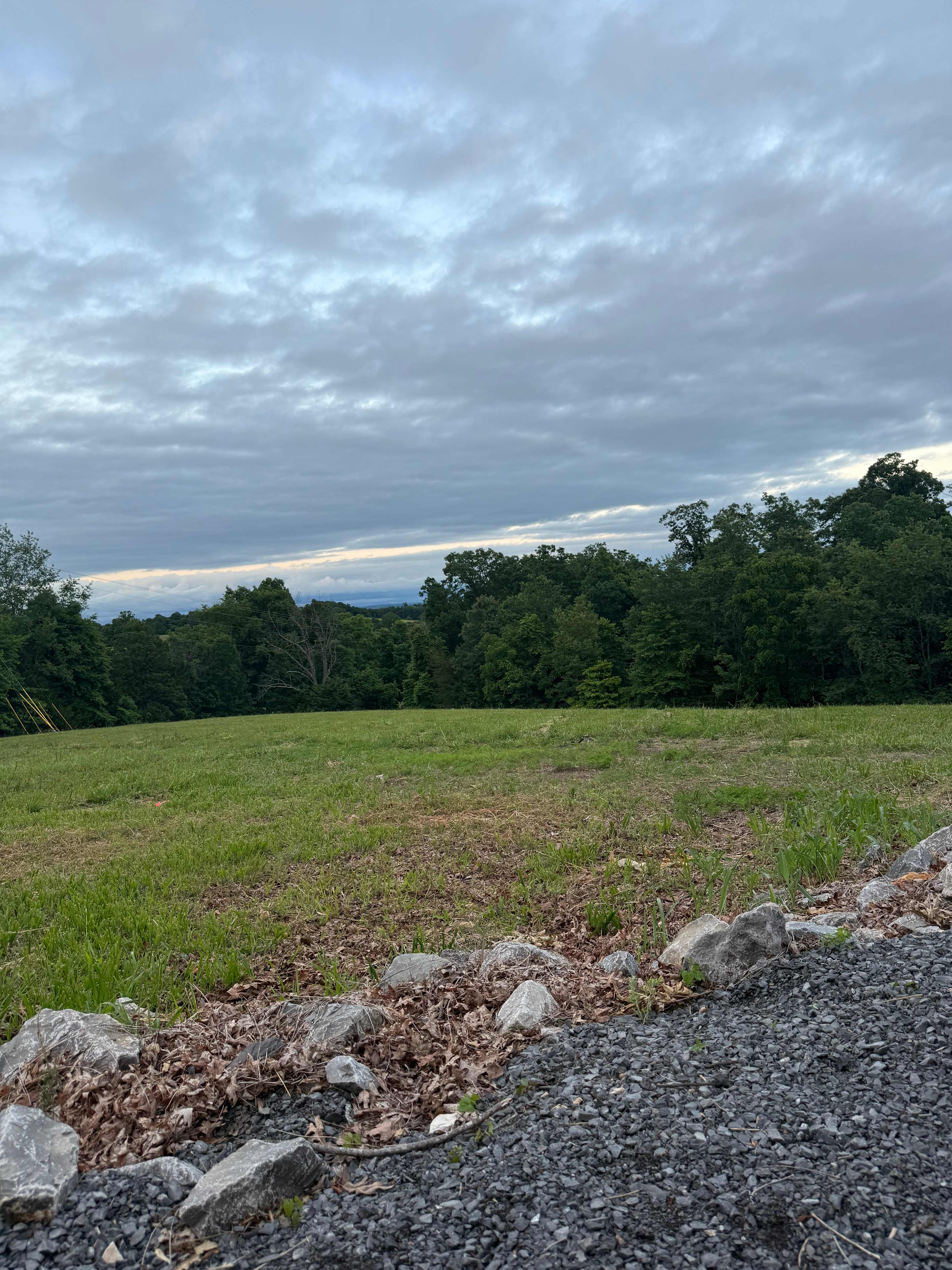 View from site 