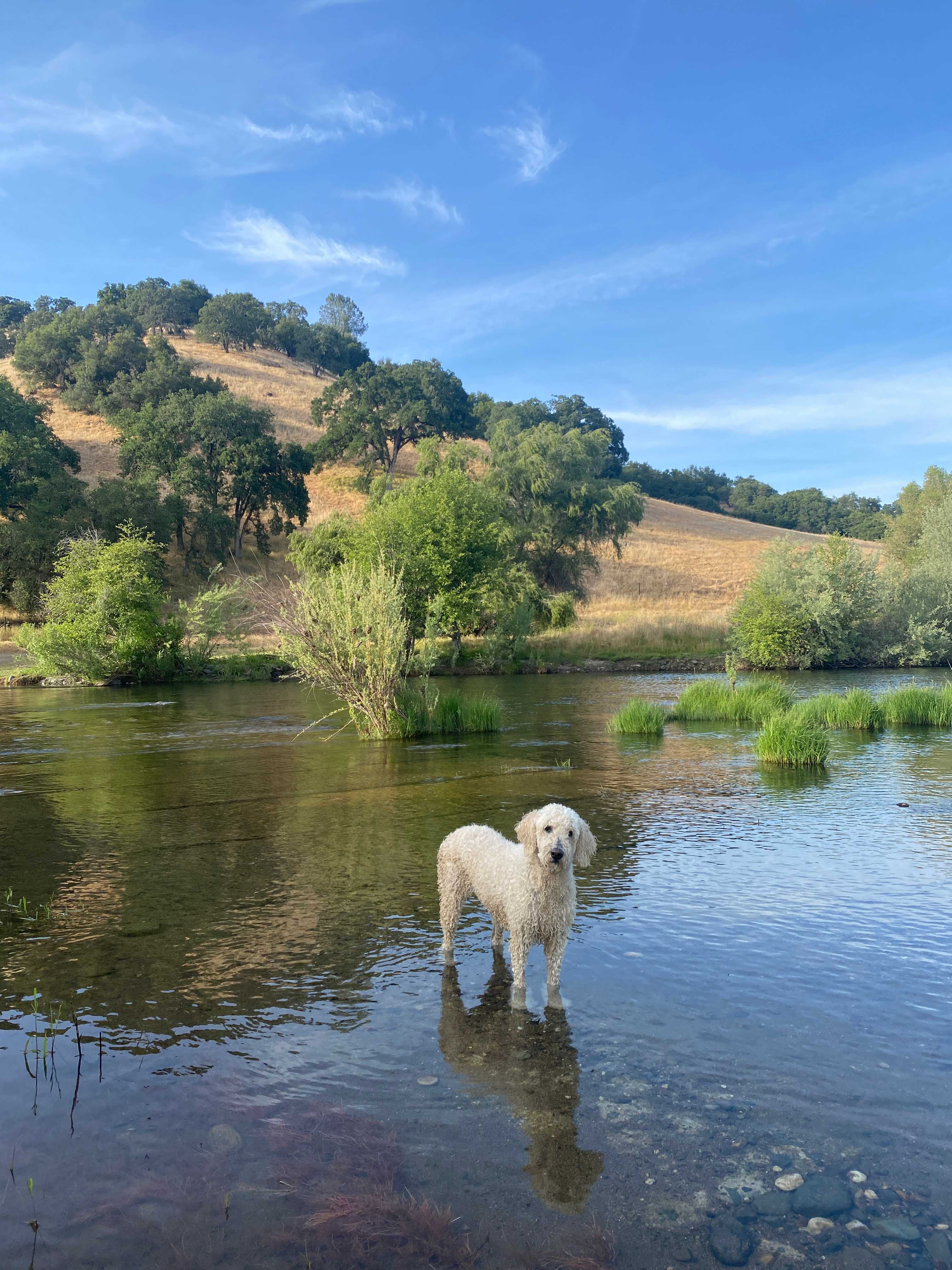 Bring some lawn chairs and sit by the river