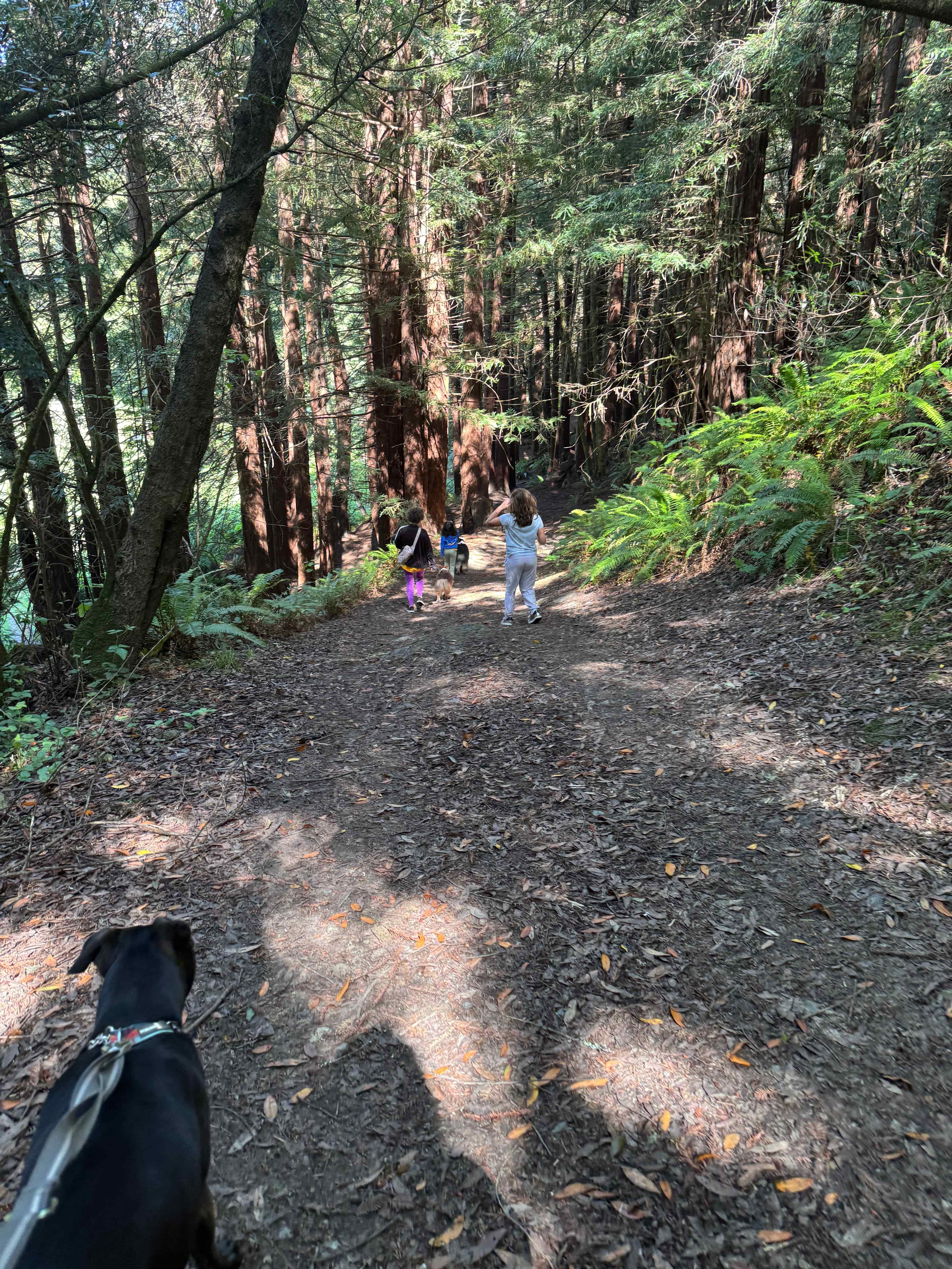 Salmon Creek Ranch