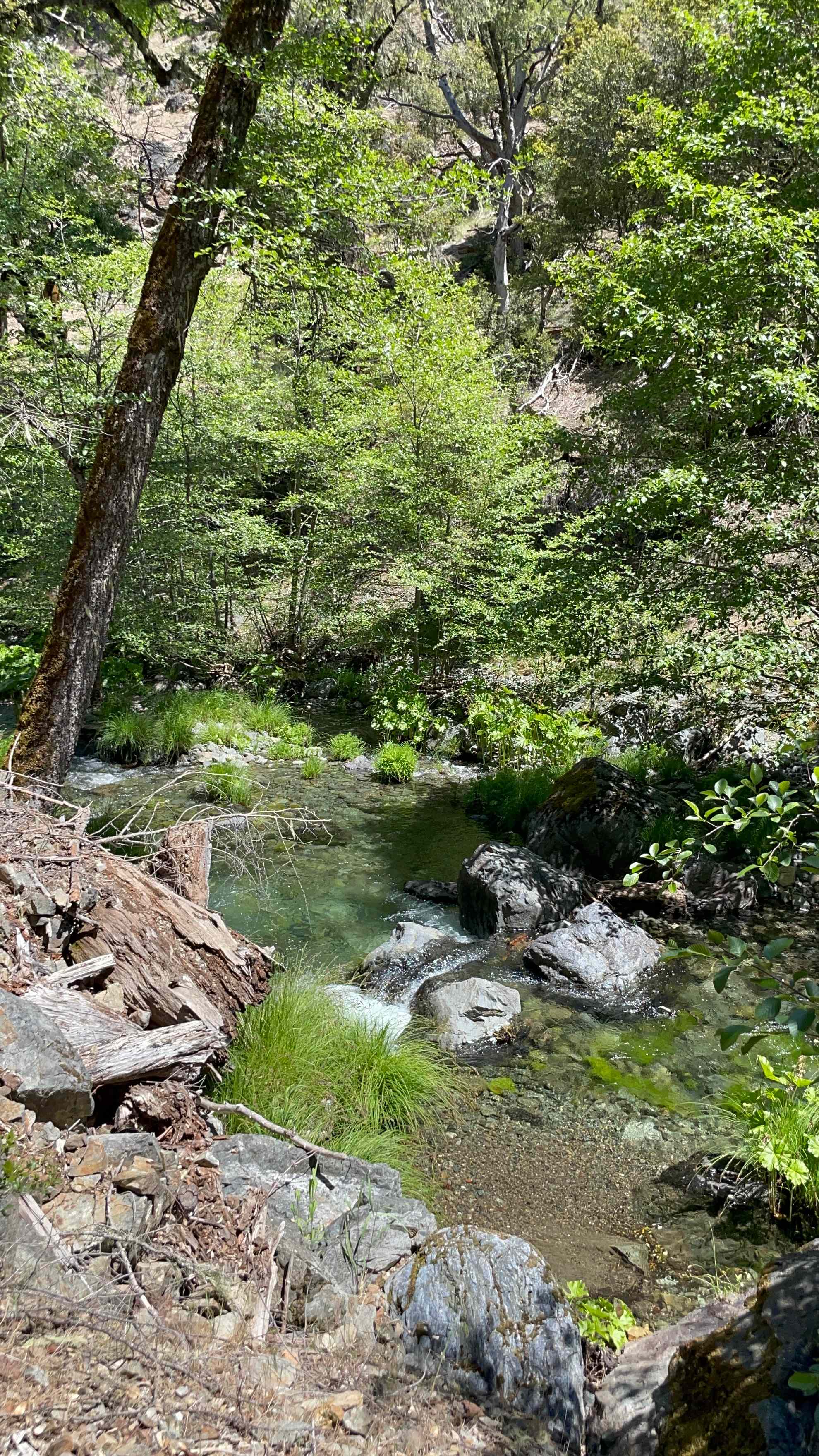 Trinity Outpost Wilderness Resort