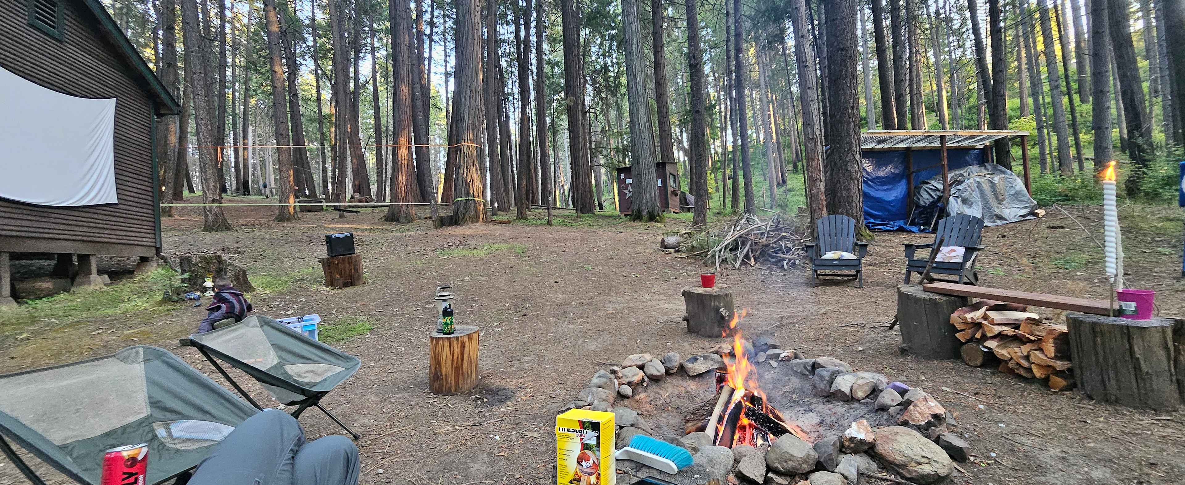 Unplug for nature, dogs, and kids