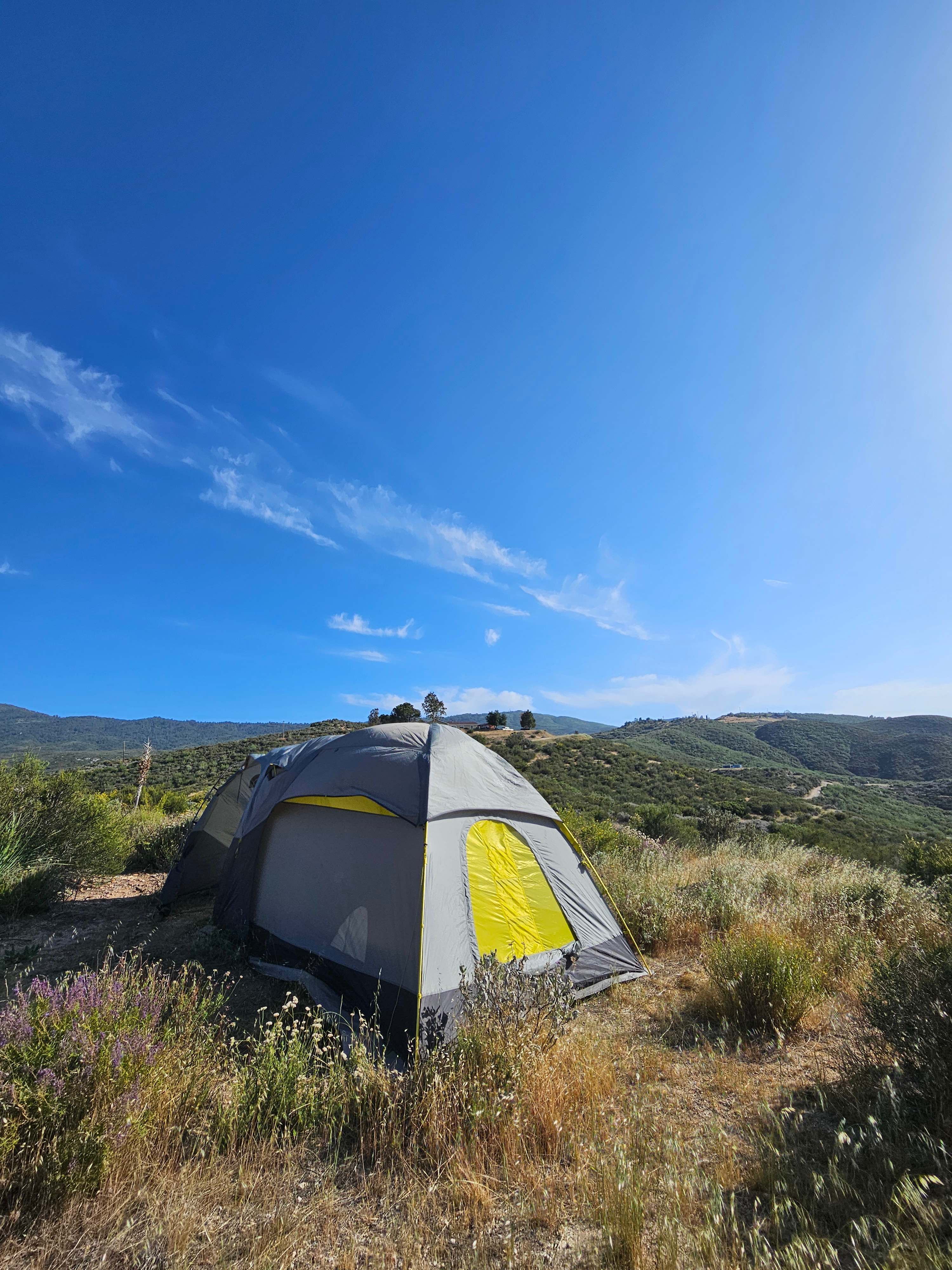 Wandering Caboose Ranch