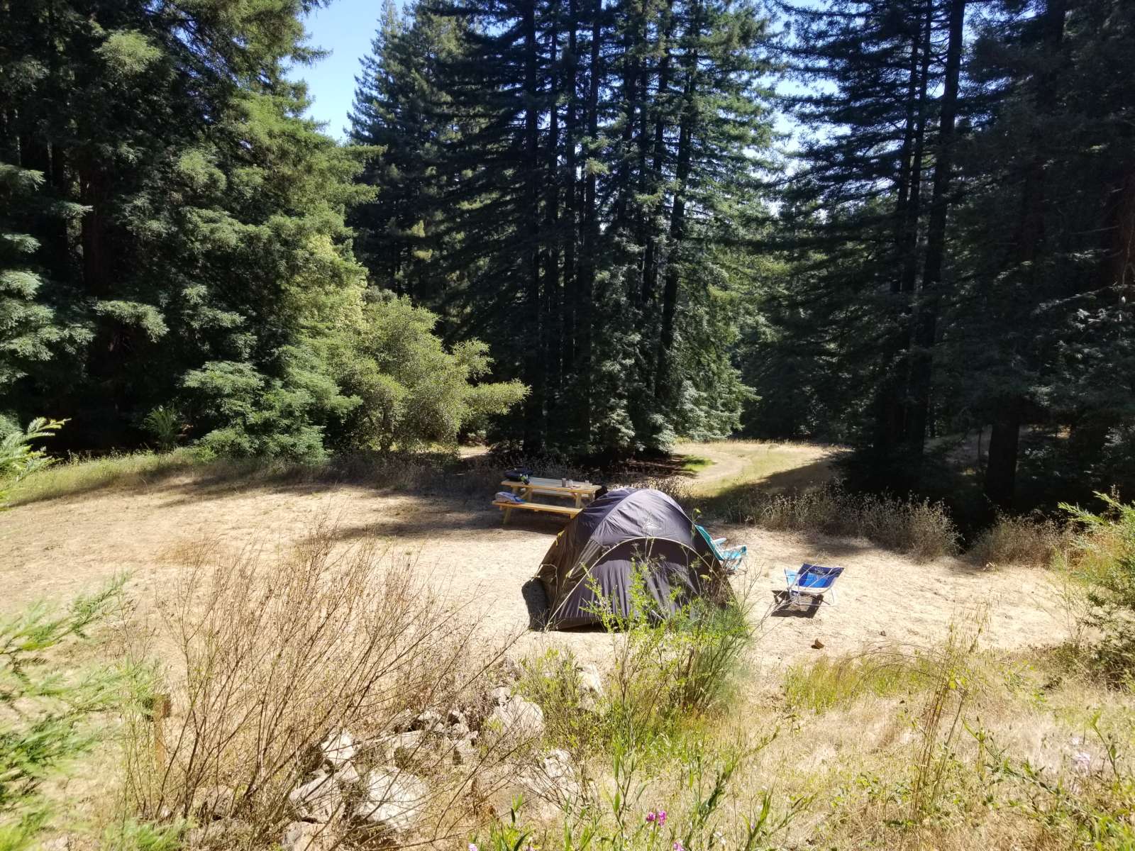 Picture of the site