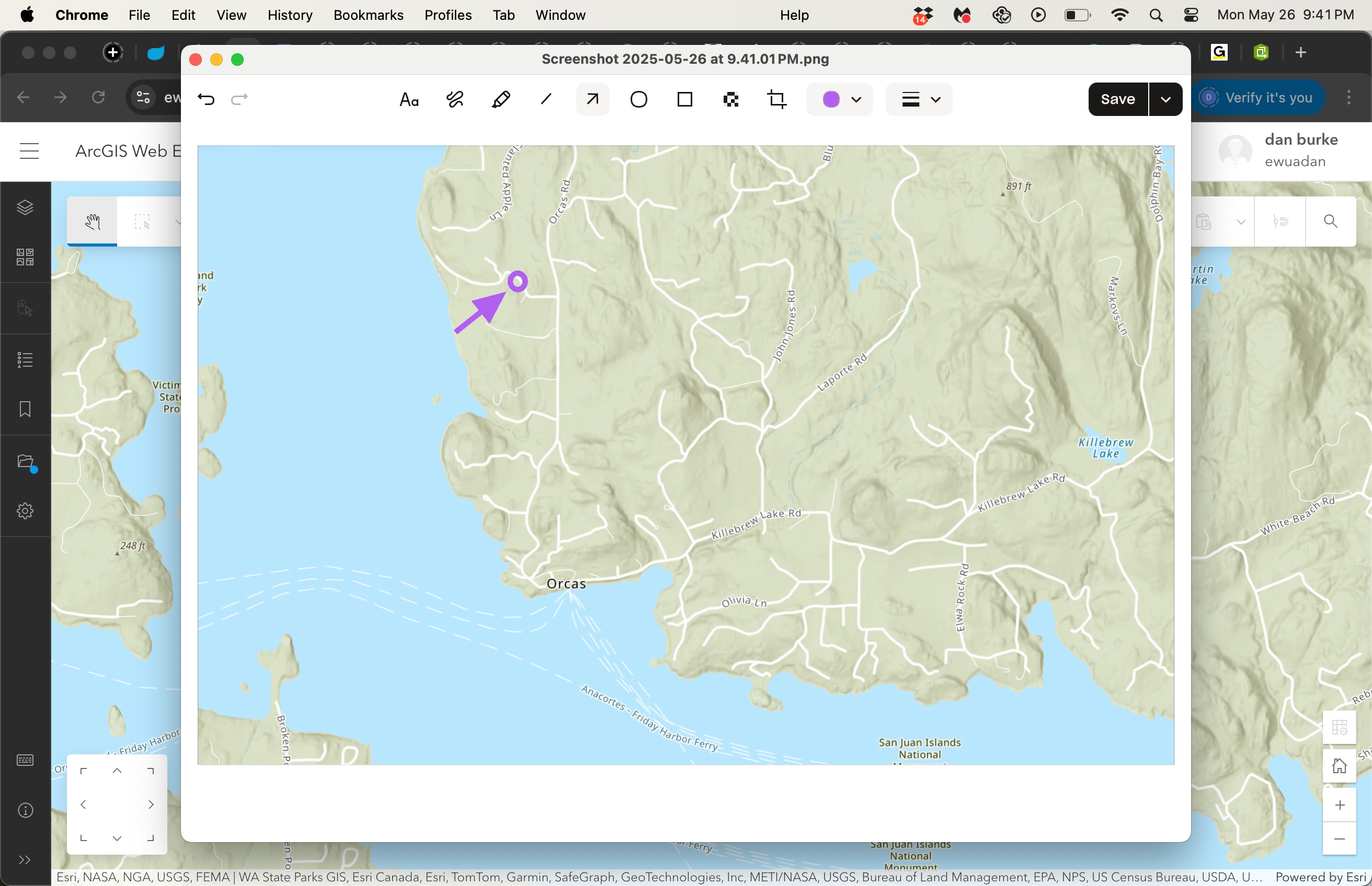 Orcas Overnight Delight