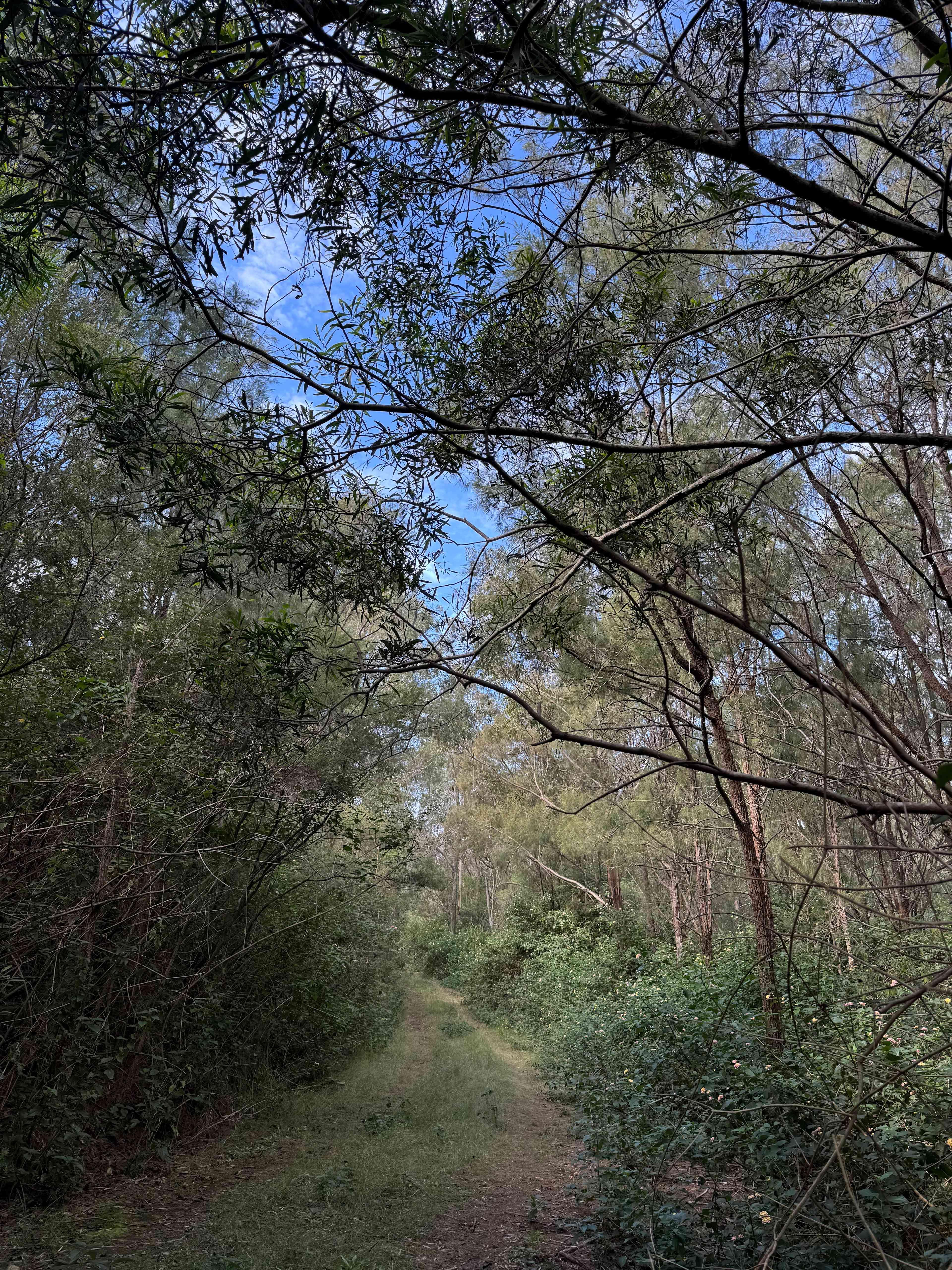 Hilltop Farm, Camping and Glamping.