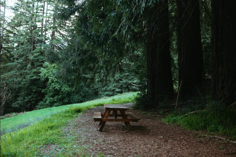 Amaya Creek Redwood Campground