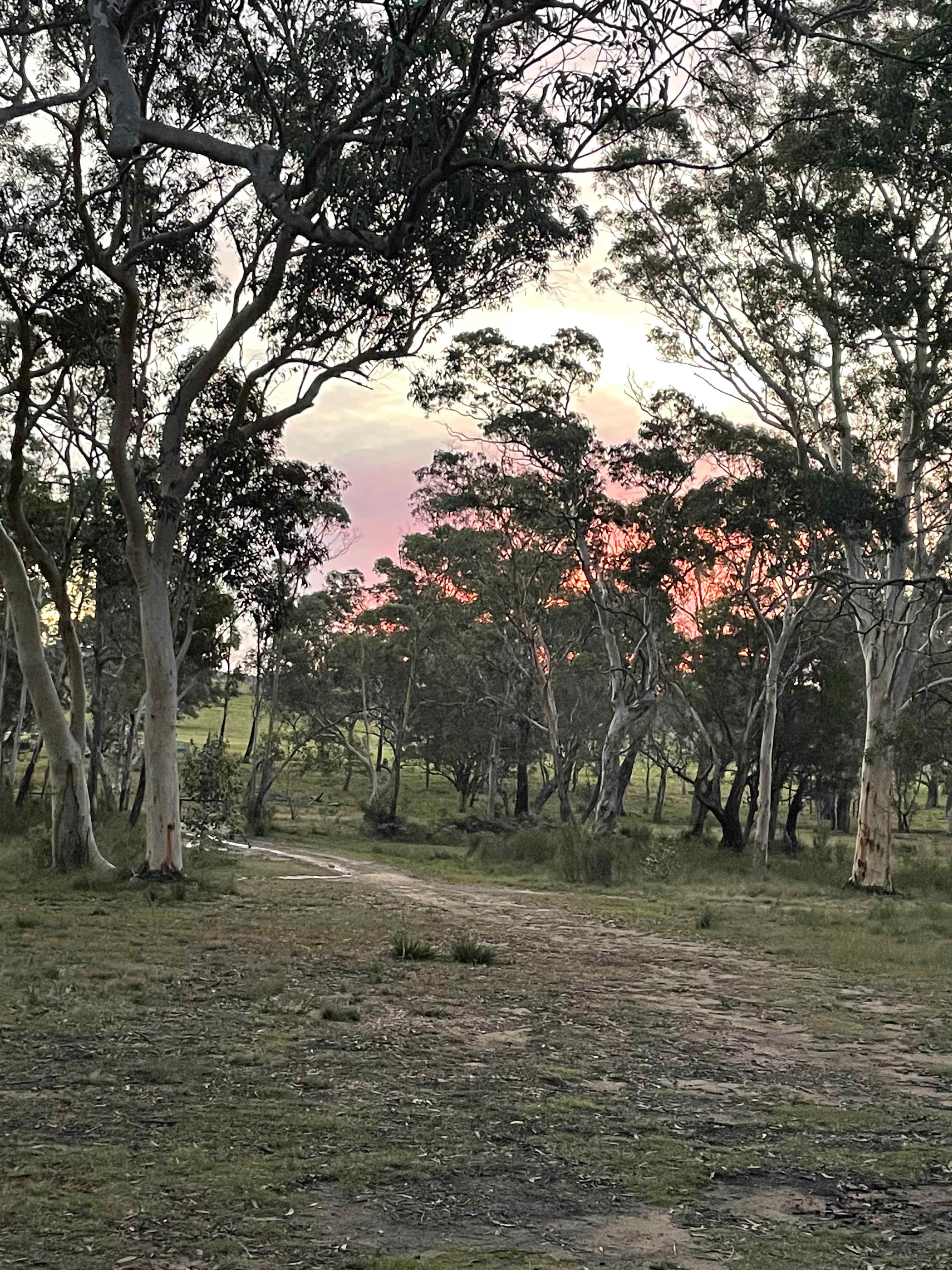 'Elouera Vale' Farm