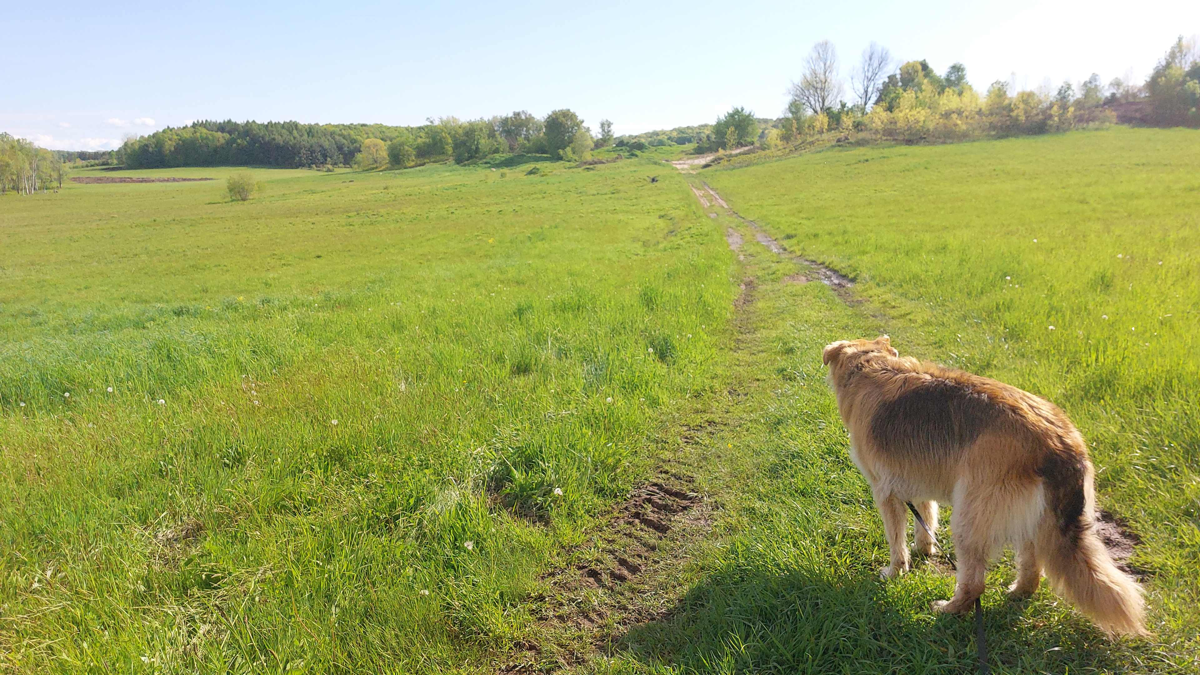 Coutts Farm
