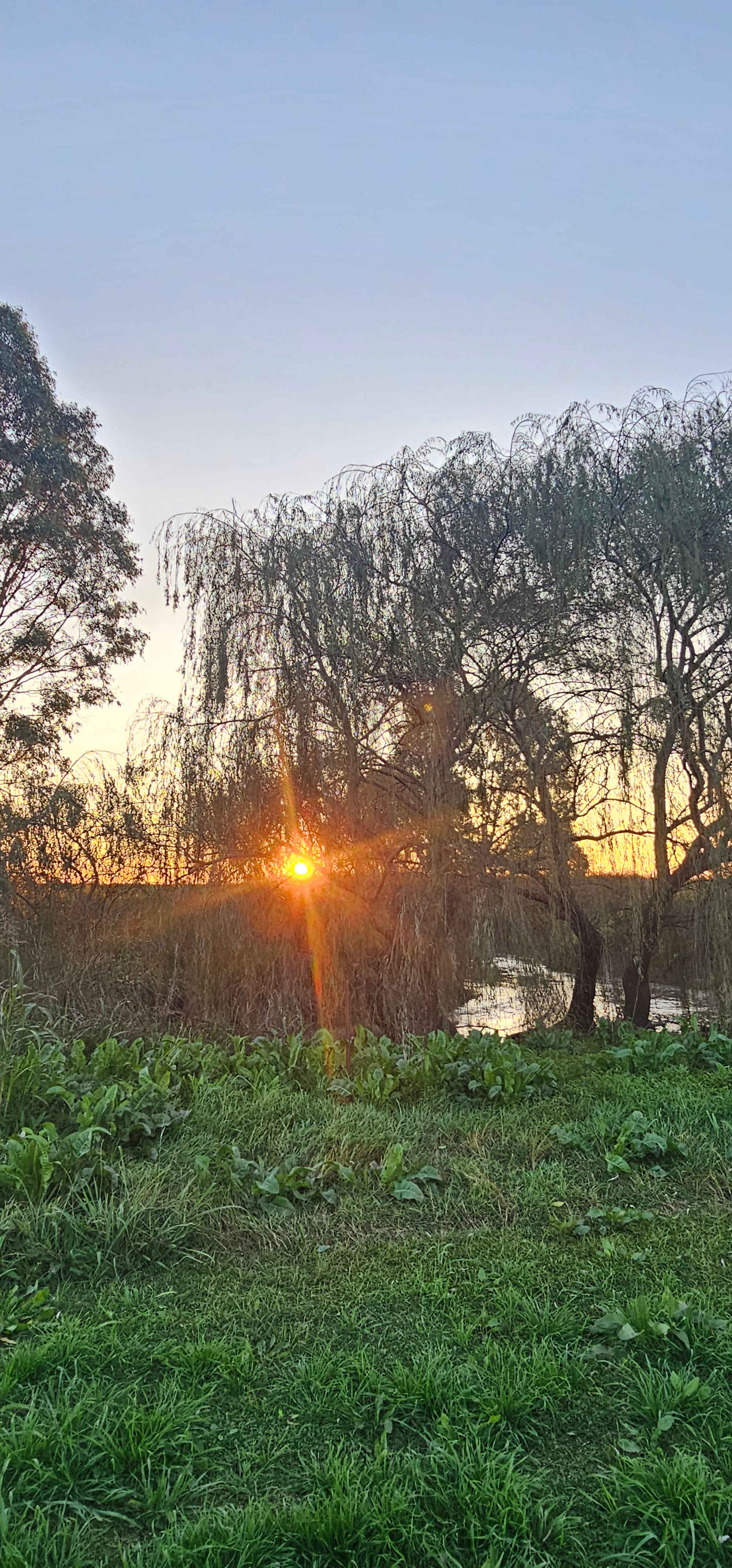 Warrego Farm