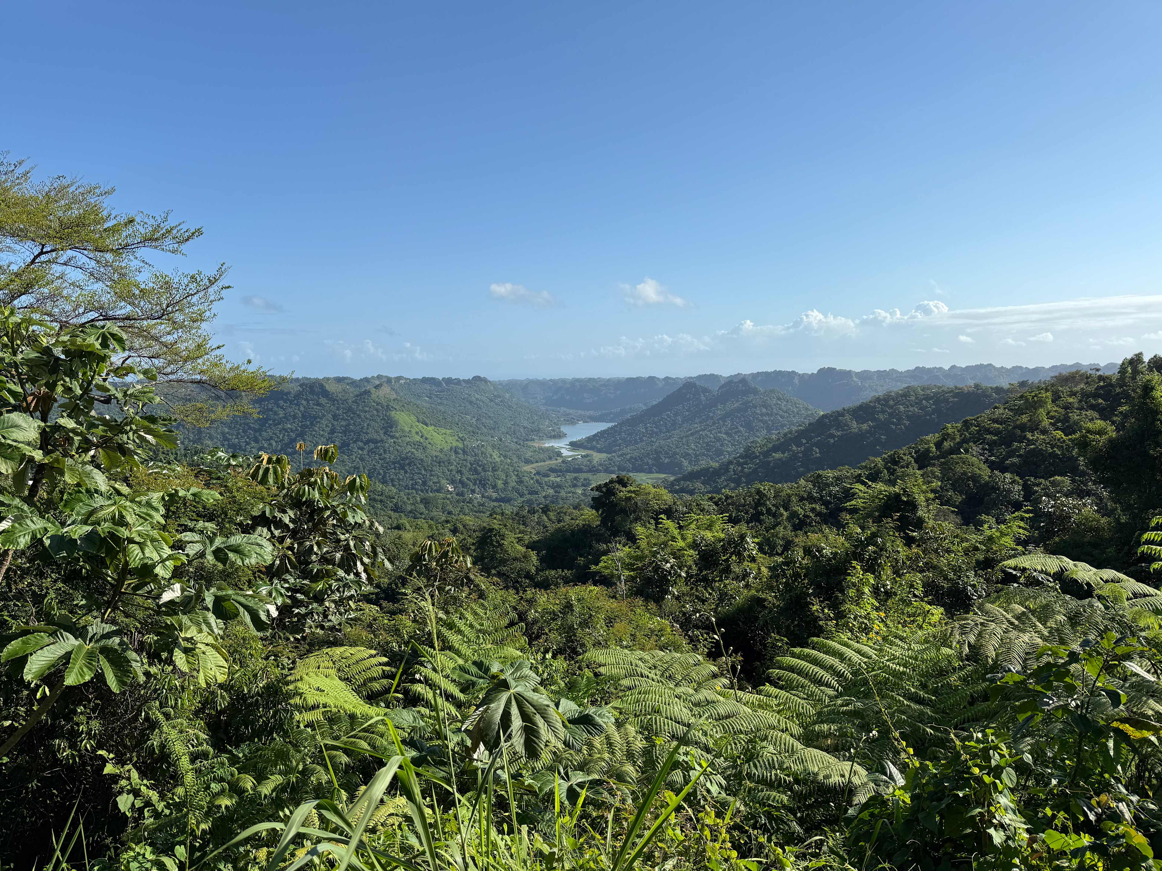 View