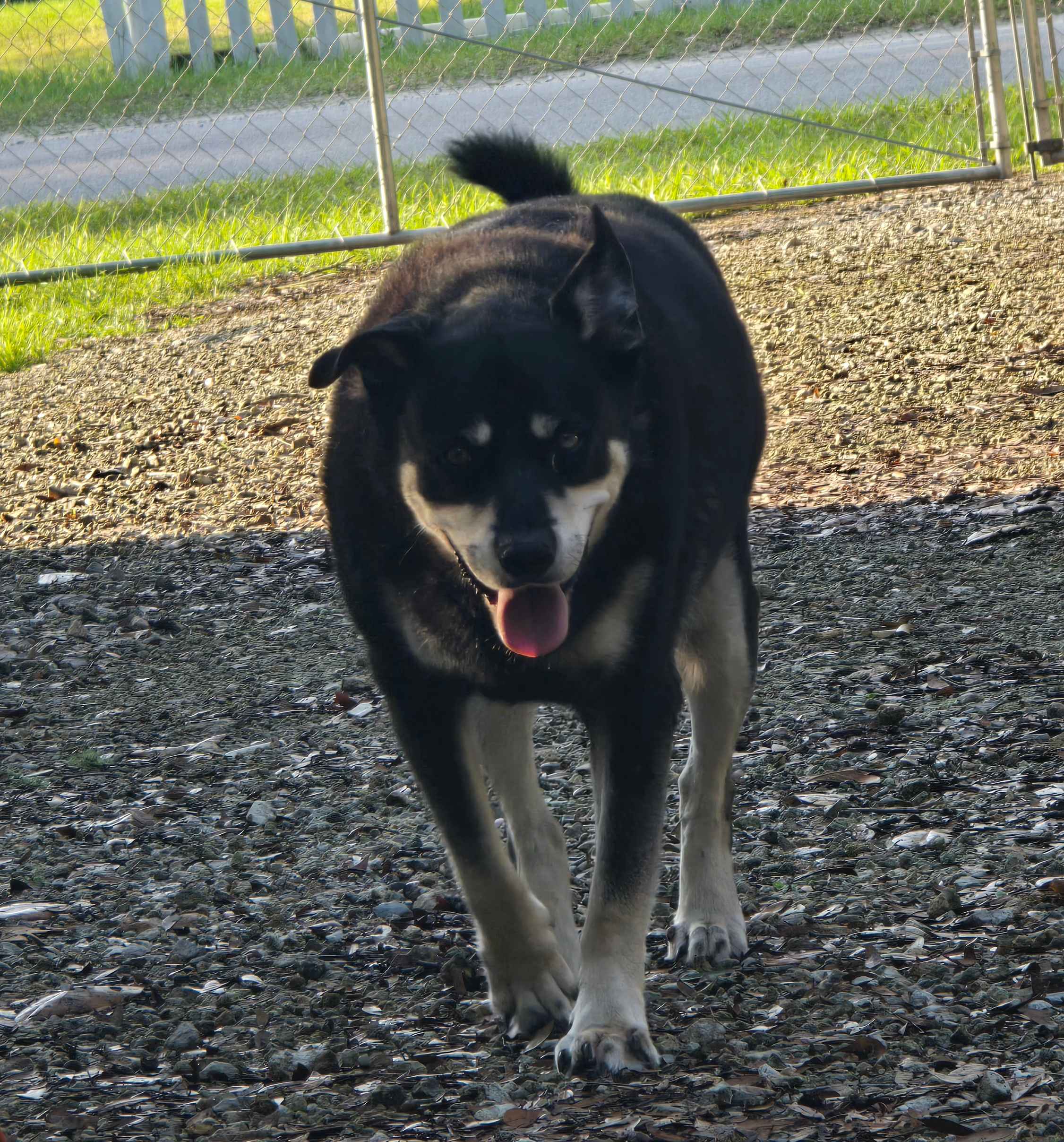 O'Neal's fish camp at Howard Creek