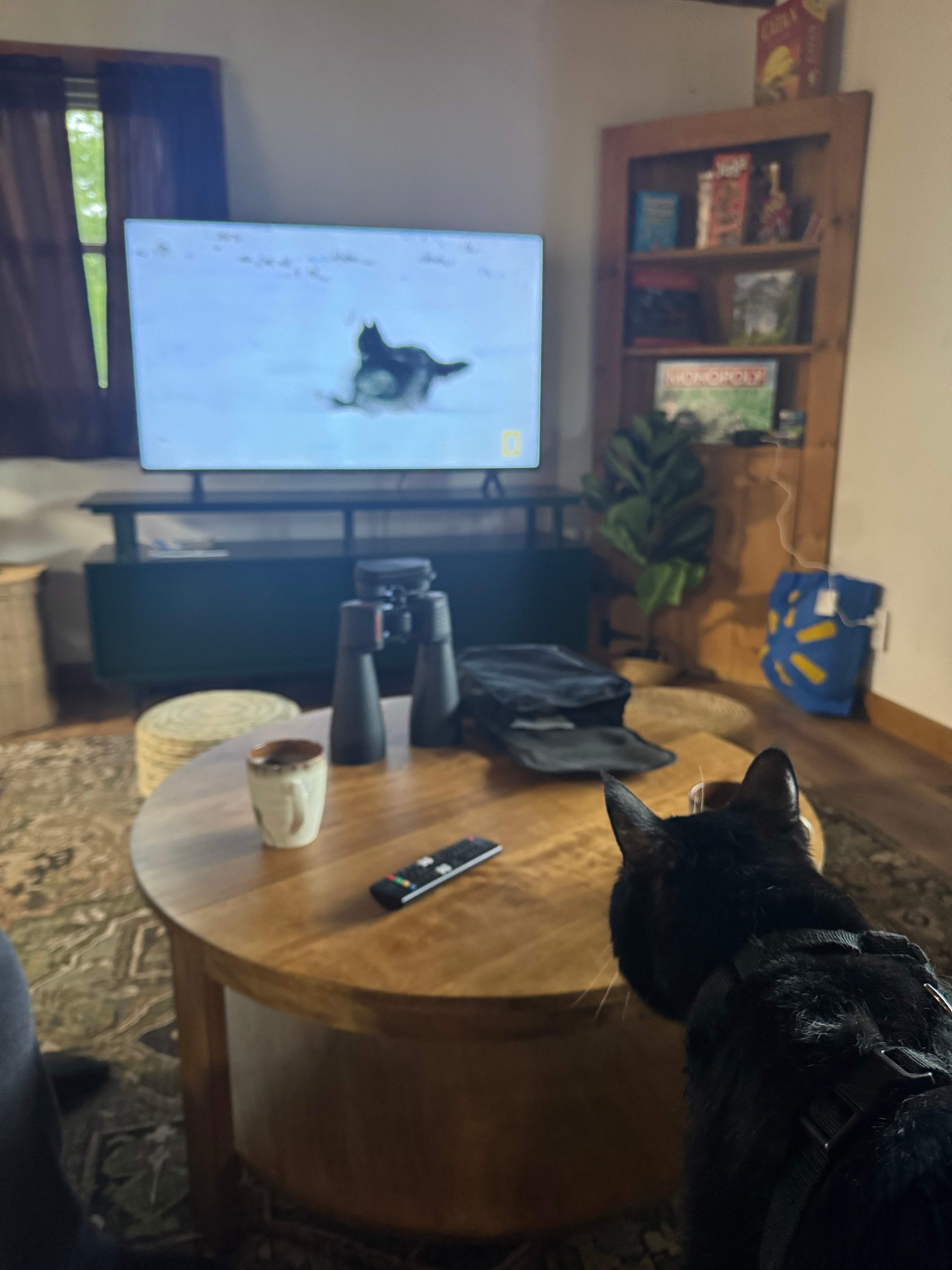 Smart tv, games, and binoculars included for whatever entertainment you prefer