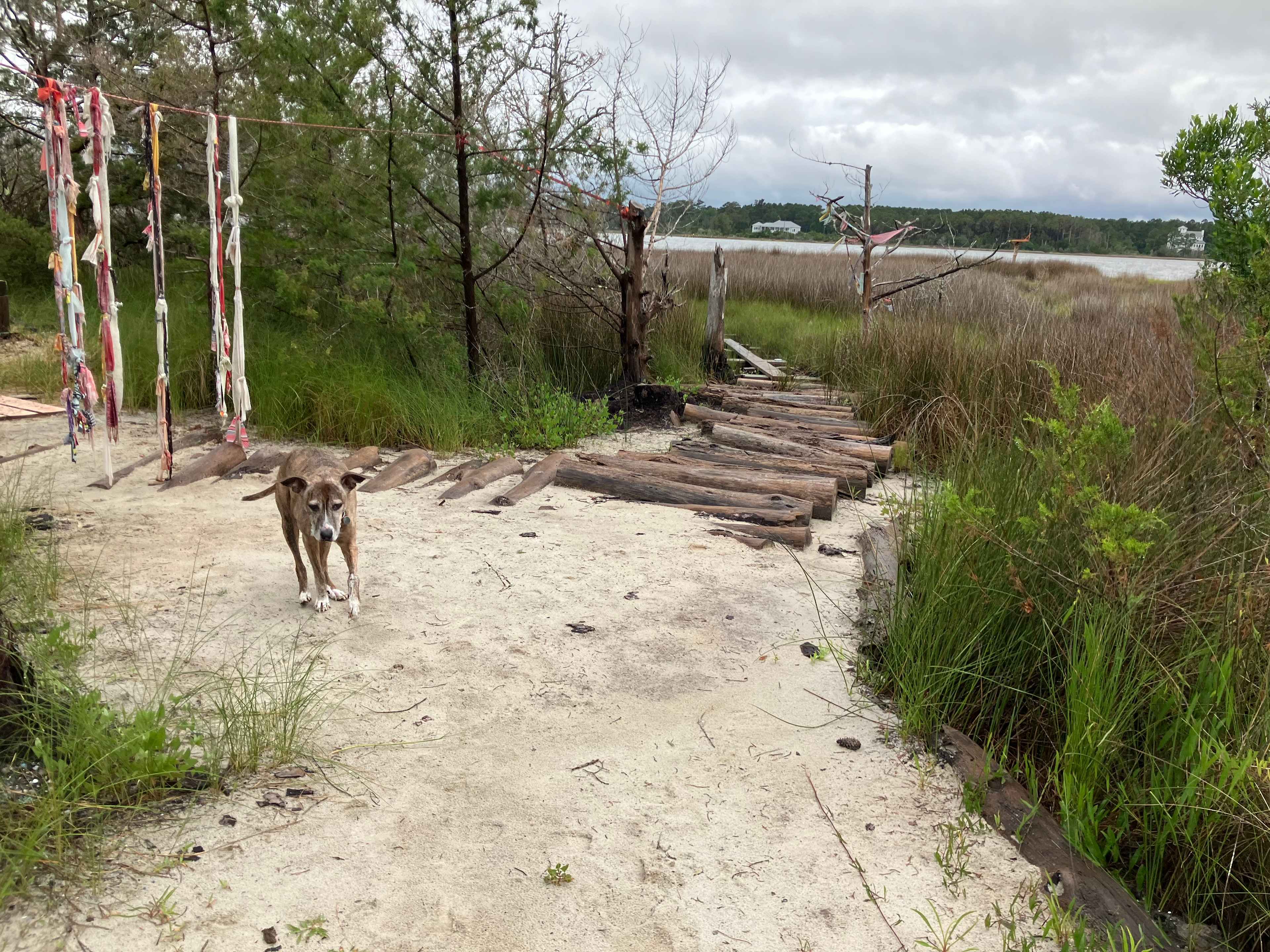 Site 2 and Osprey Trail