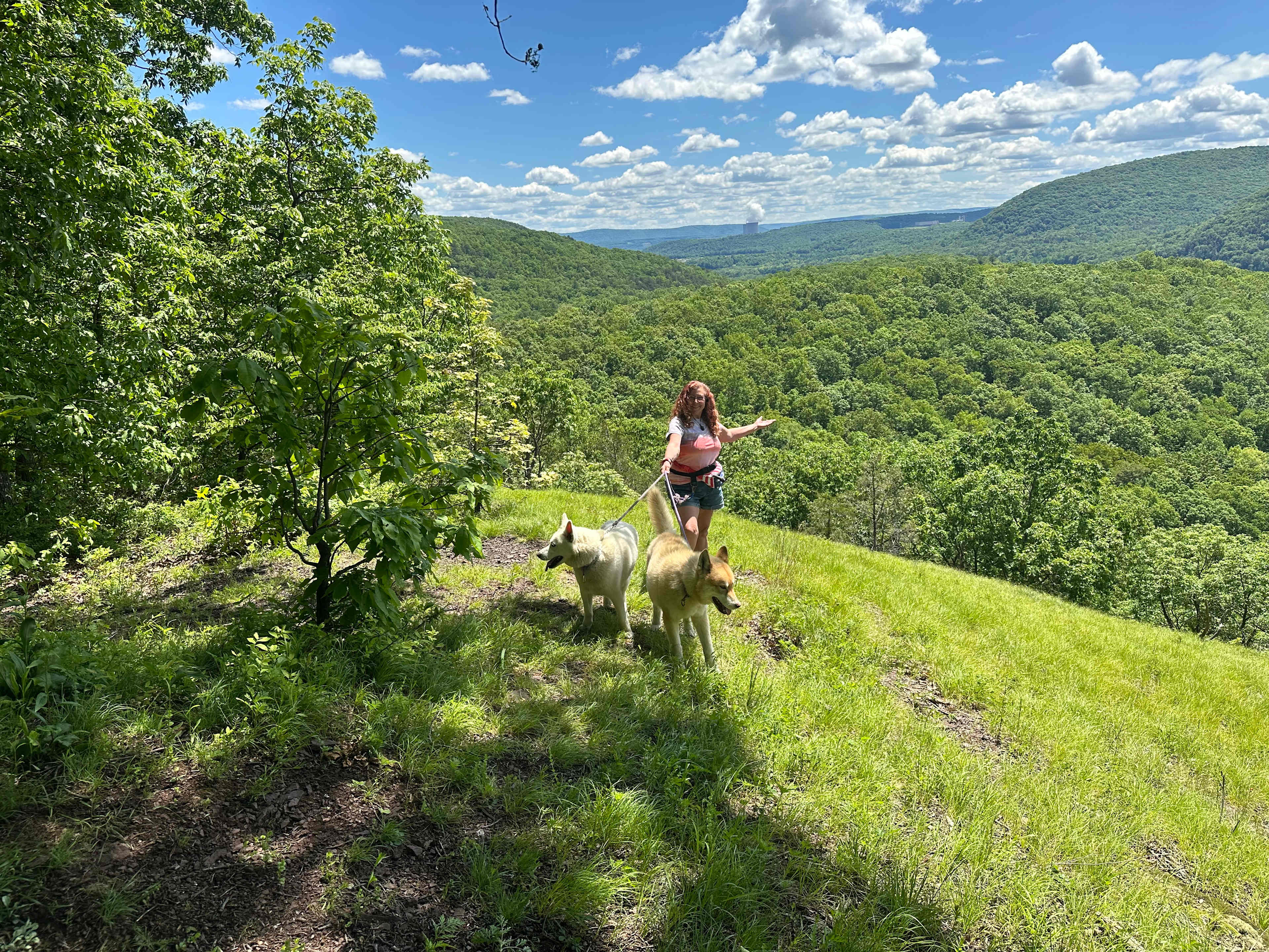 Close to Ricketts Glen State Park