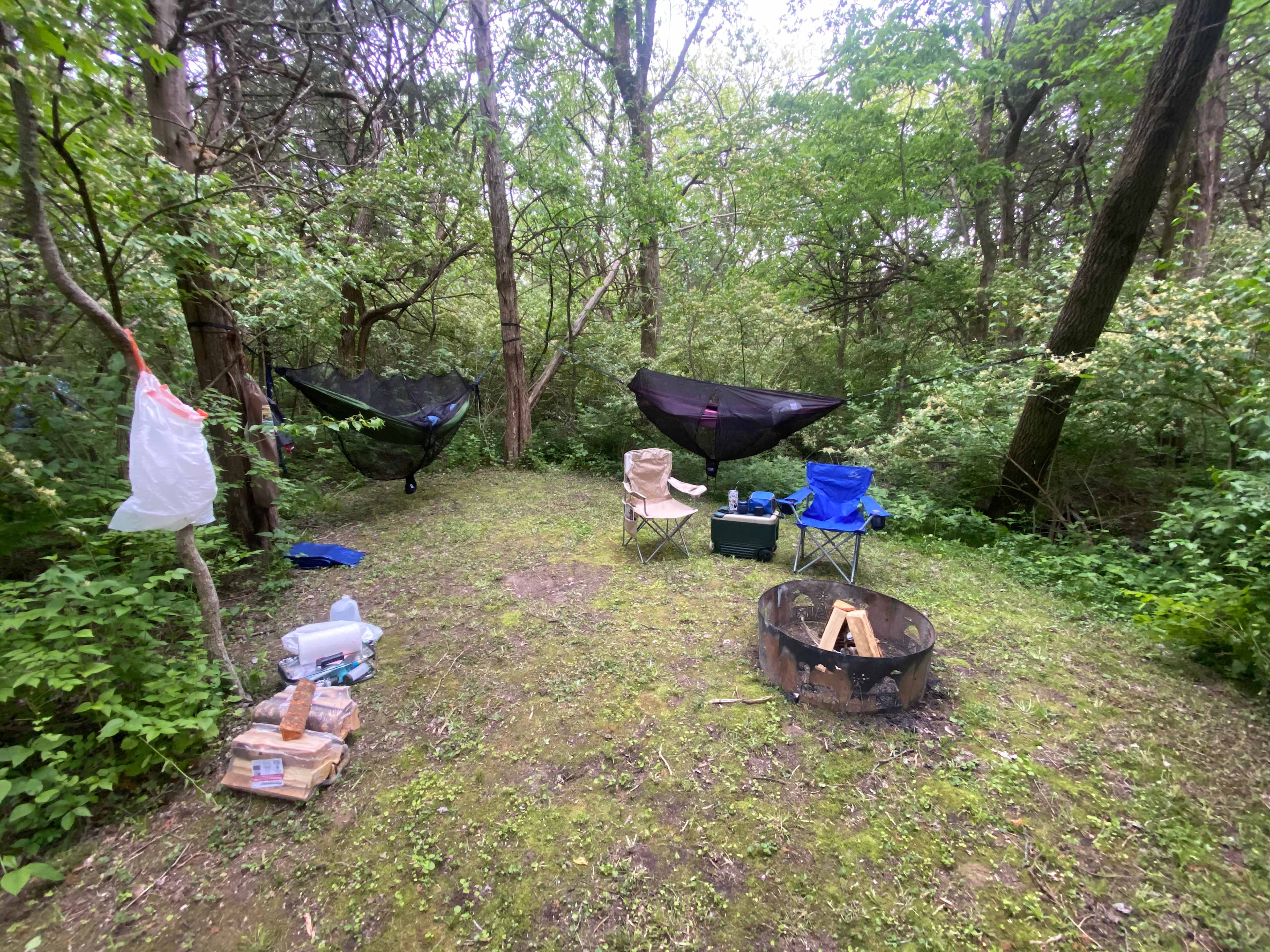 Site D Hammocks