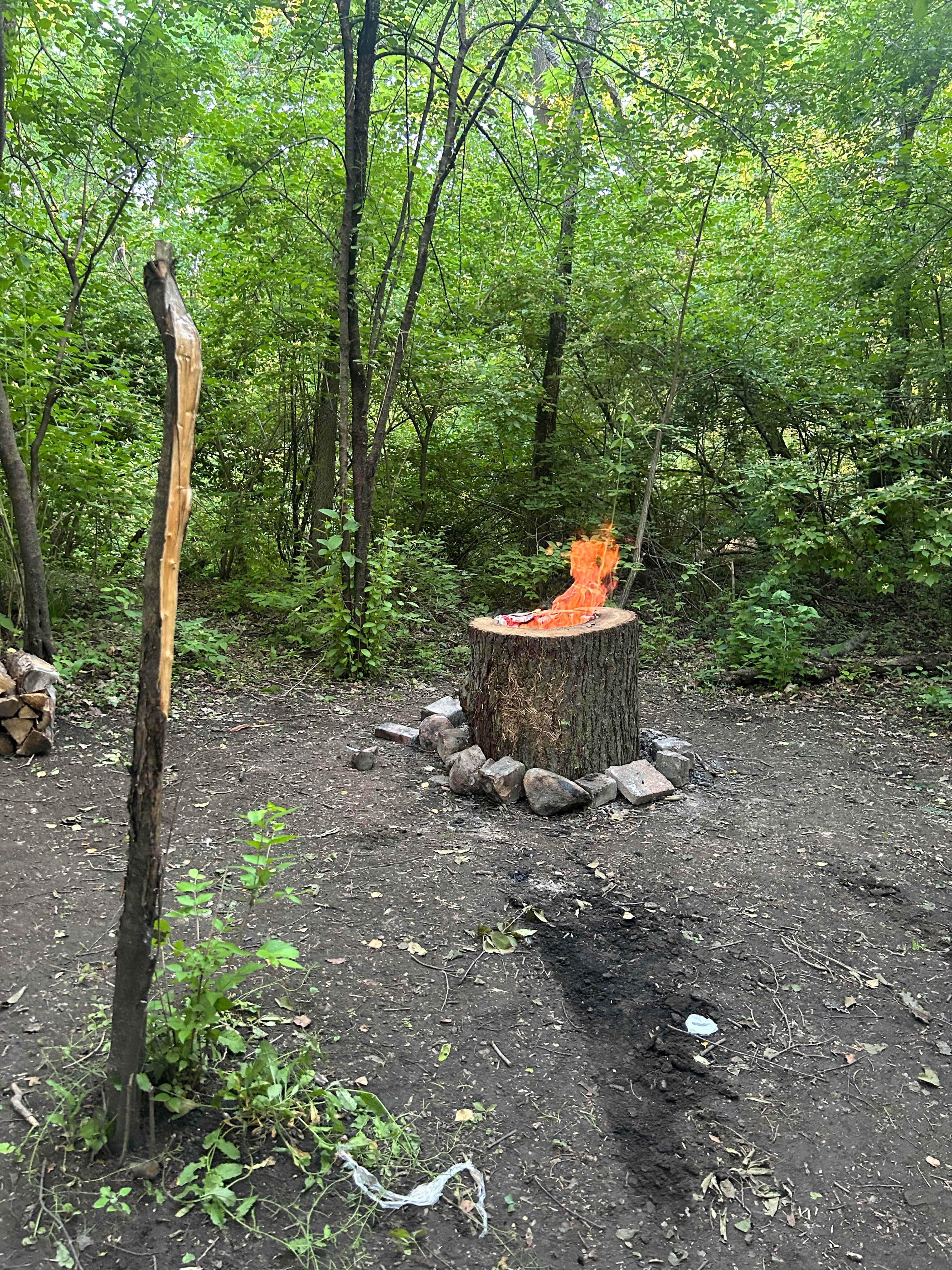 East Woods on the IL River