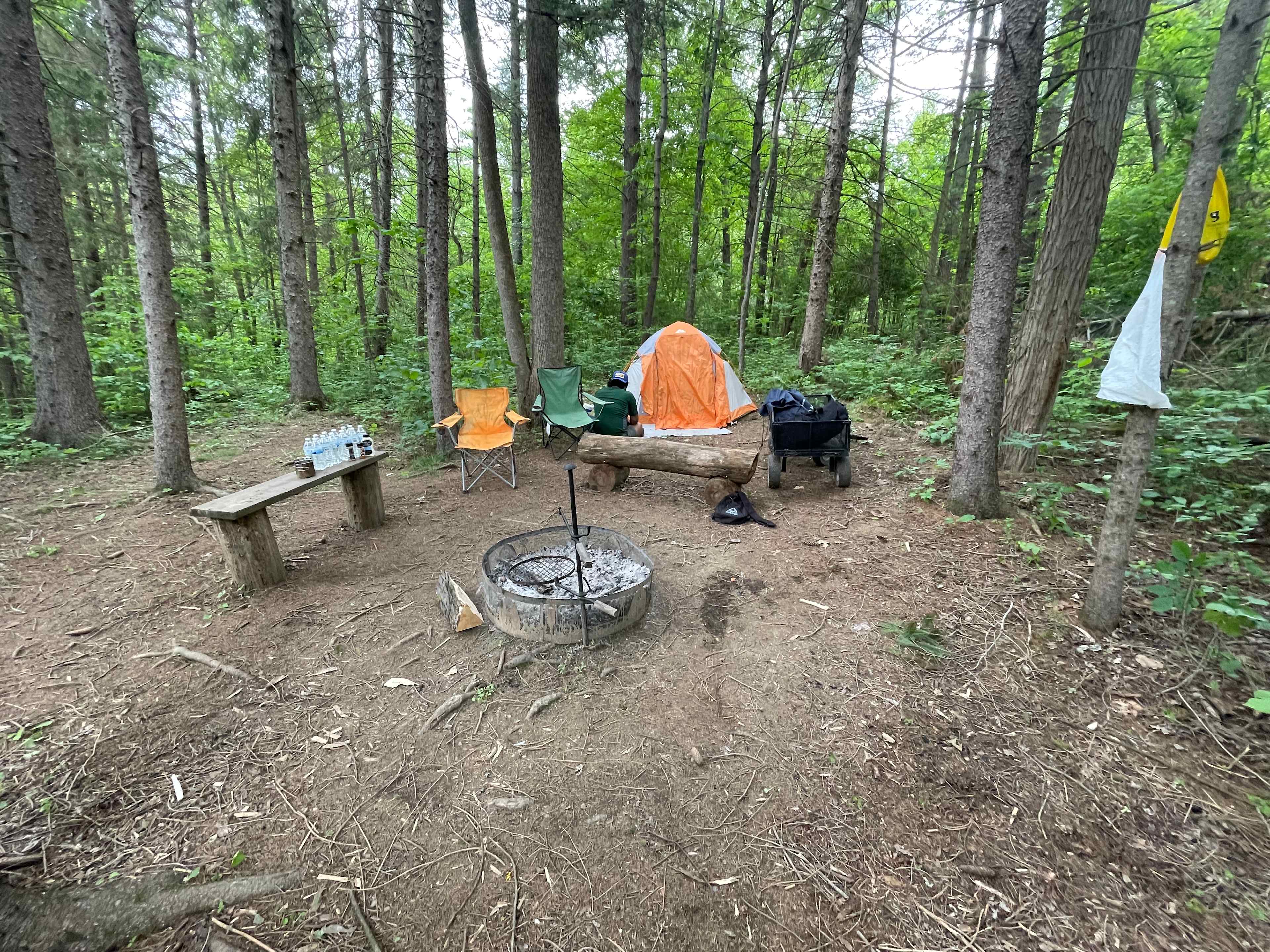 Trothwood Forest