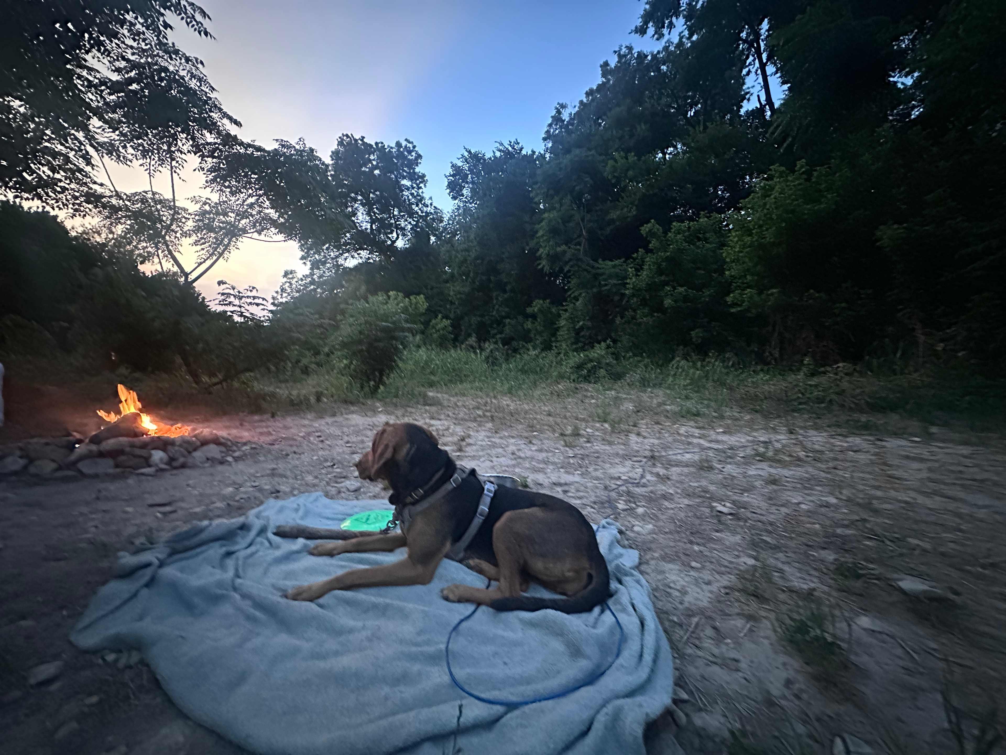 P² Farm | Scenic River Camping