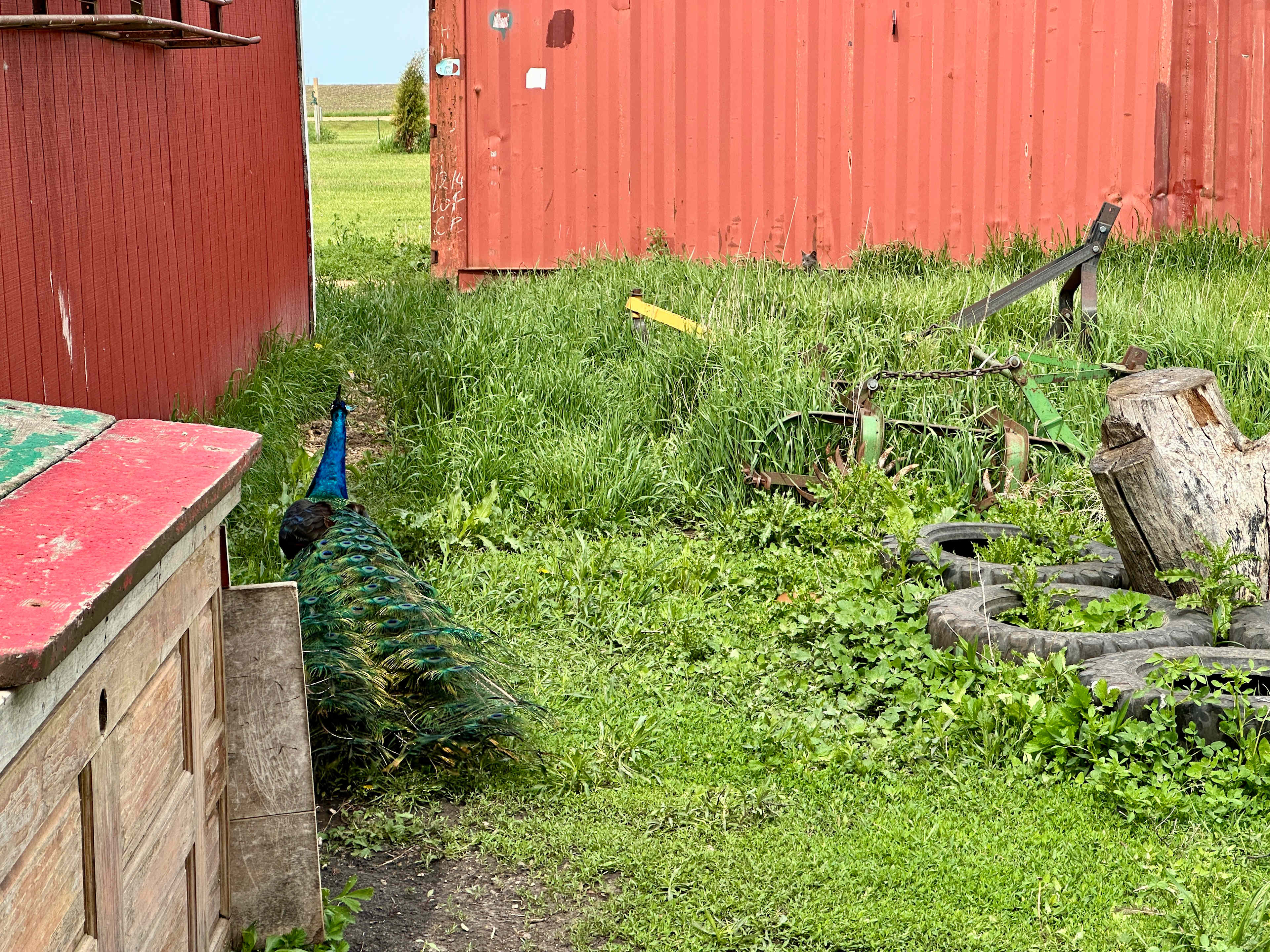 Uncle B's Produce Farm