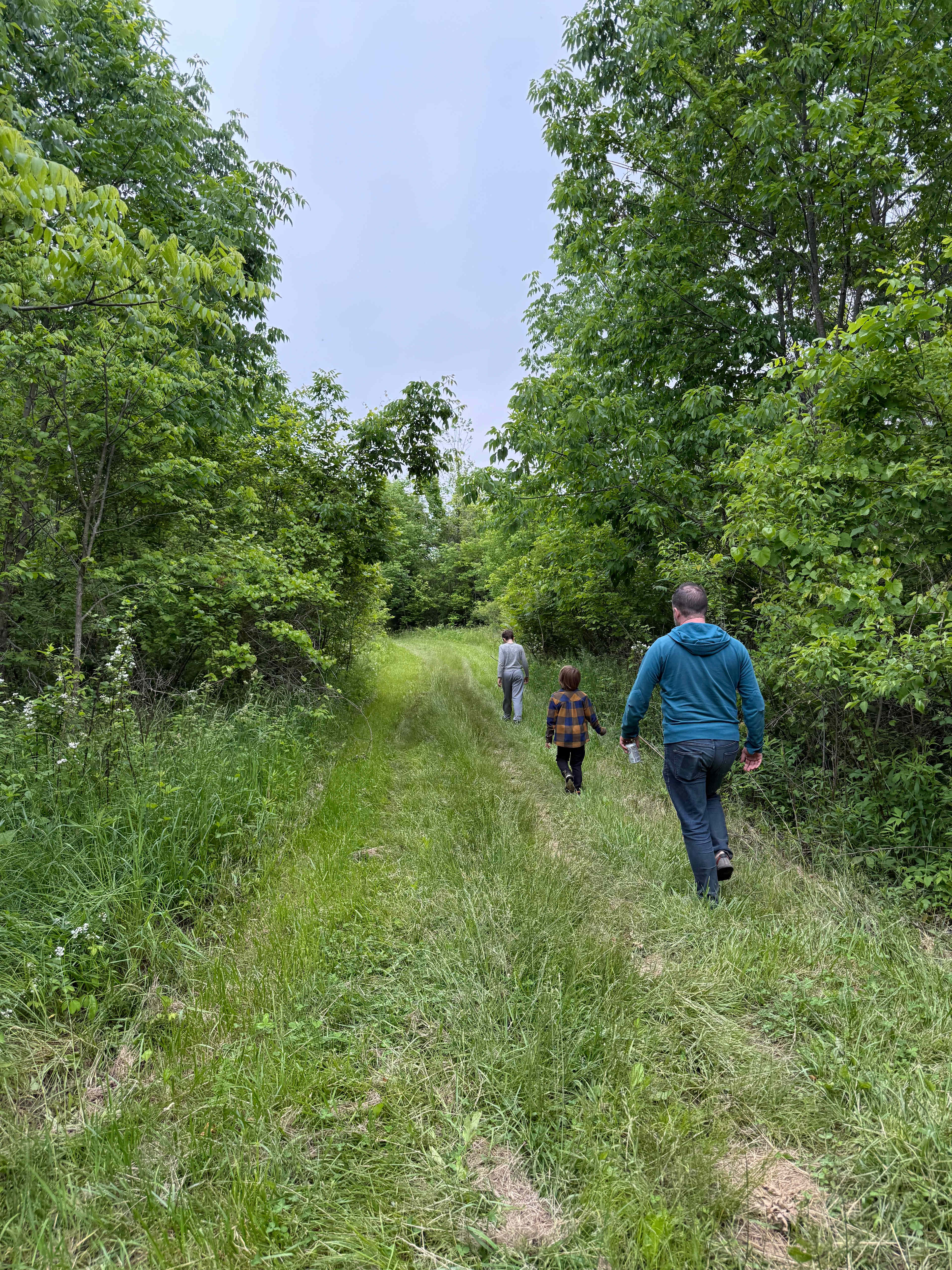 Walking trails