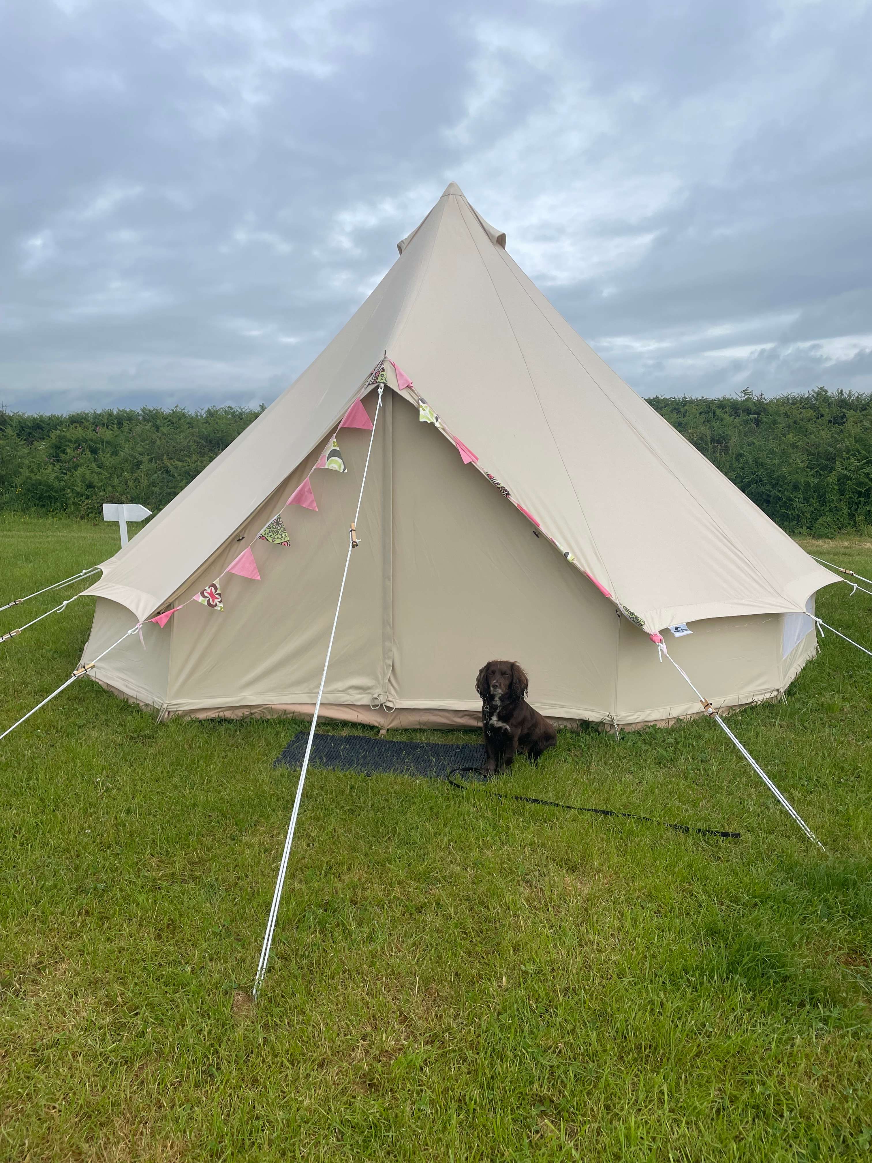 Belle Camping Cornwall