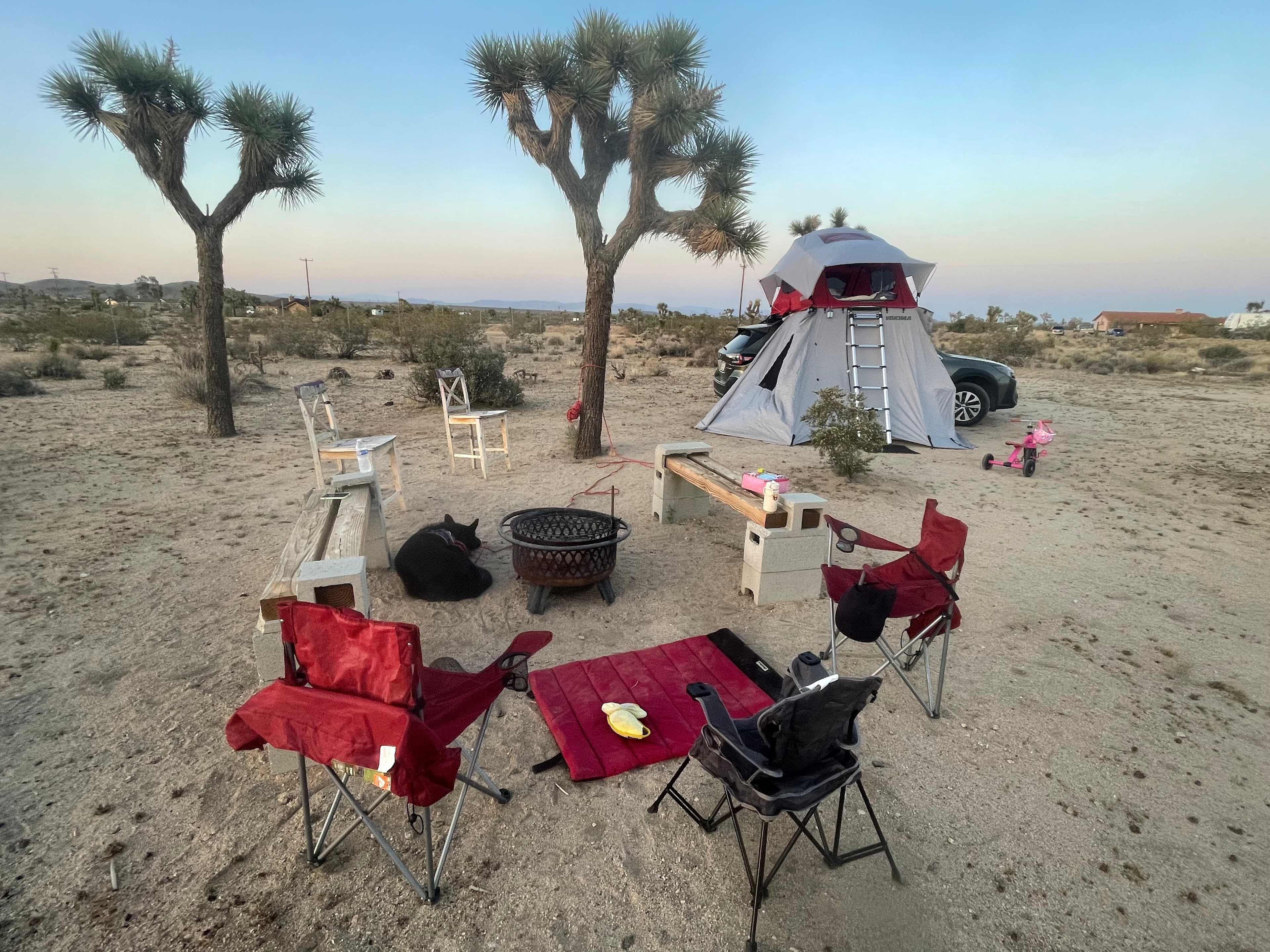 Caribbean Mojave Escape